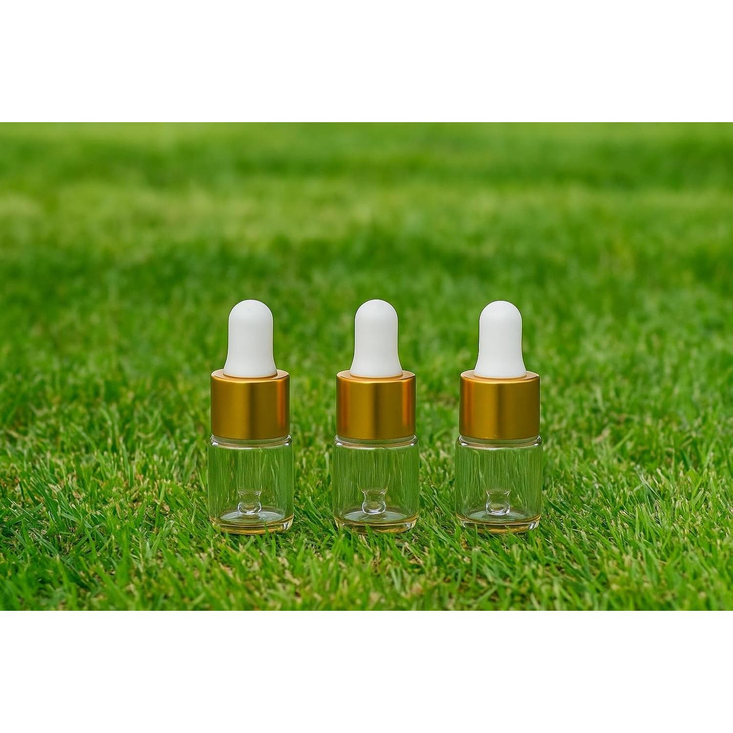 Botellas de Goteo Mini 1ml Parfumlism - 100pcs Vidrio A Prueba de Fugas