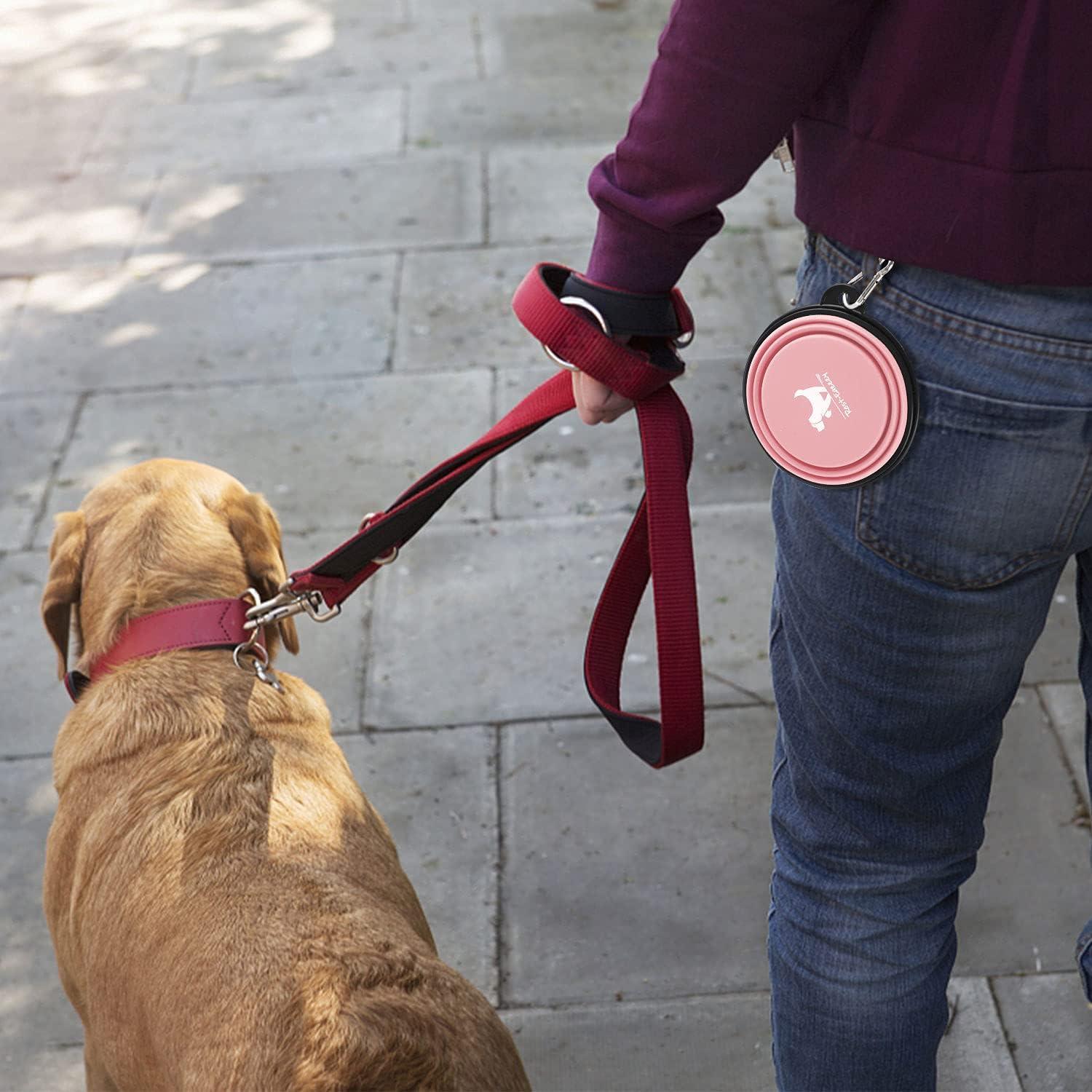 Cuencos Plegables para Perros Rest-Eazzzy 2 Unidades Silicona