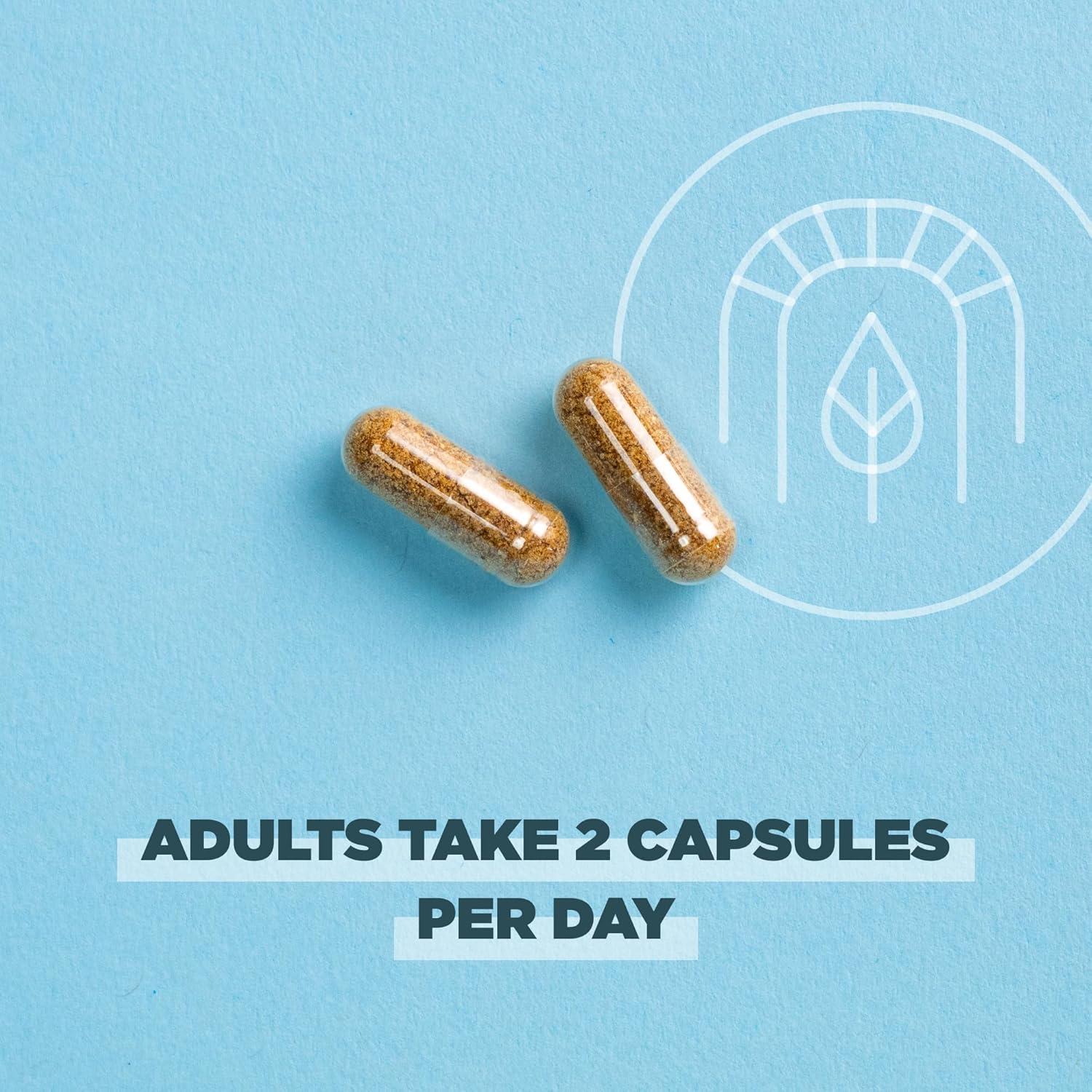 Cápsulas Superfrutas Orgánicas Ancient Nutrition 60 Unidades