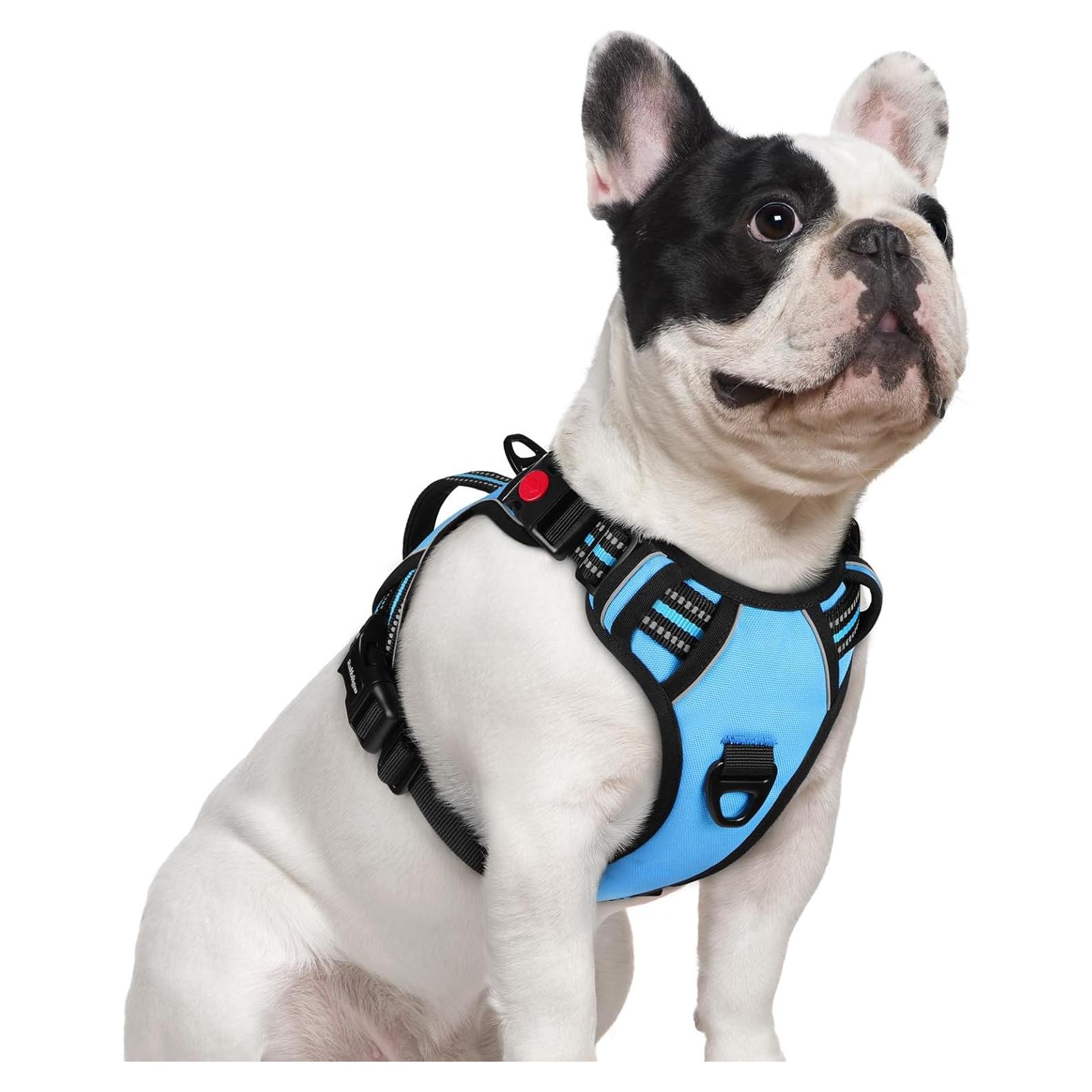 Arnés para Perros Rabbitgoo Pequeño Ajustable Reflectante