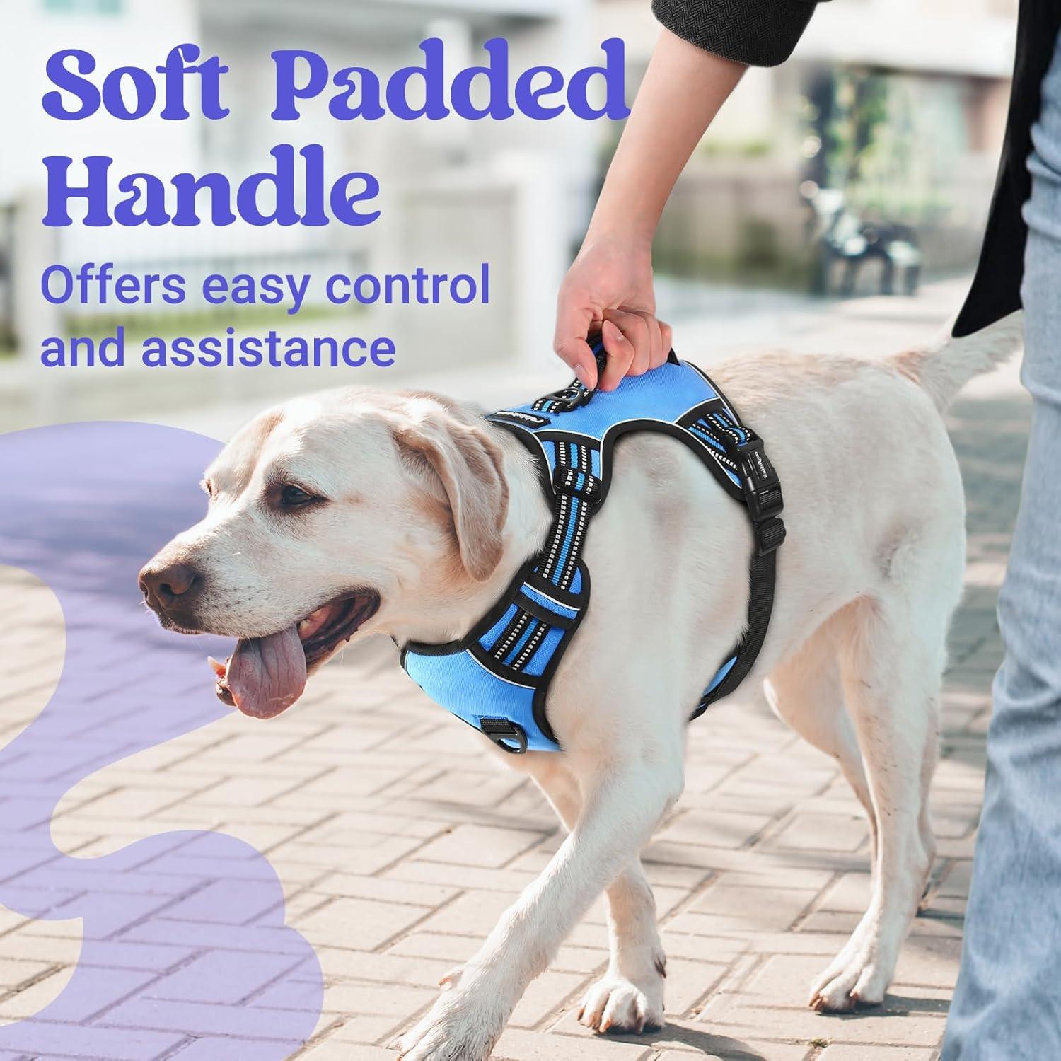 Arnés para Perros Rabbitgoo Pequeño Ajustable Reflectante