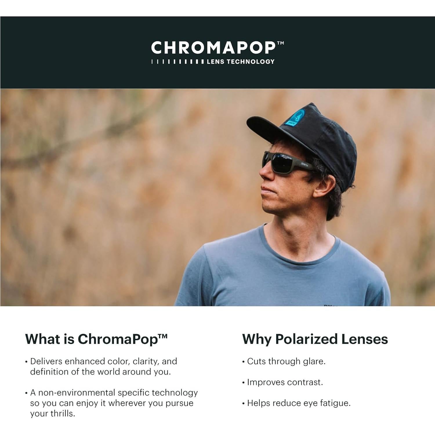 Gafas de sol Smith Lowdown 2 Chromapop Polarizadas