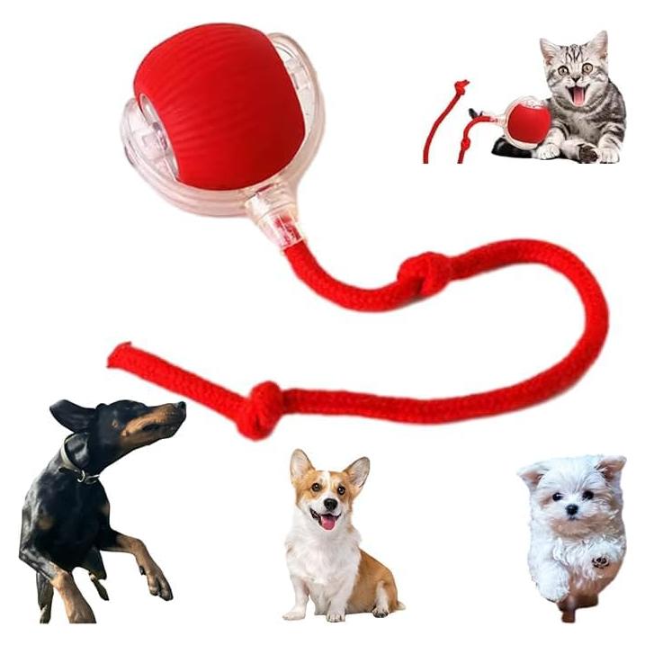 Pelota Eléctrica Interactiva para Perros y Gatos AUTRETY