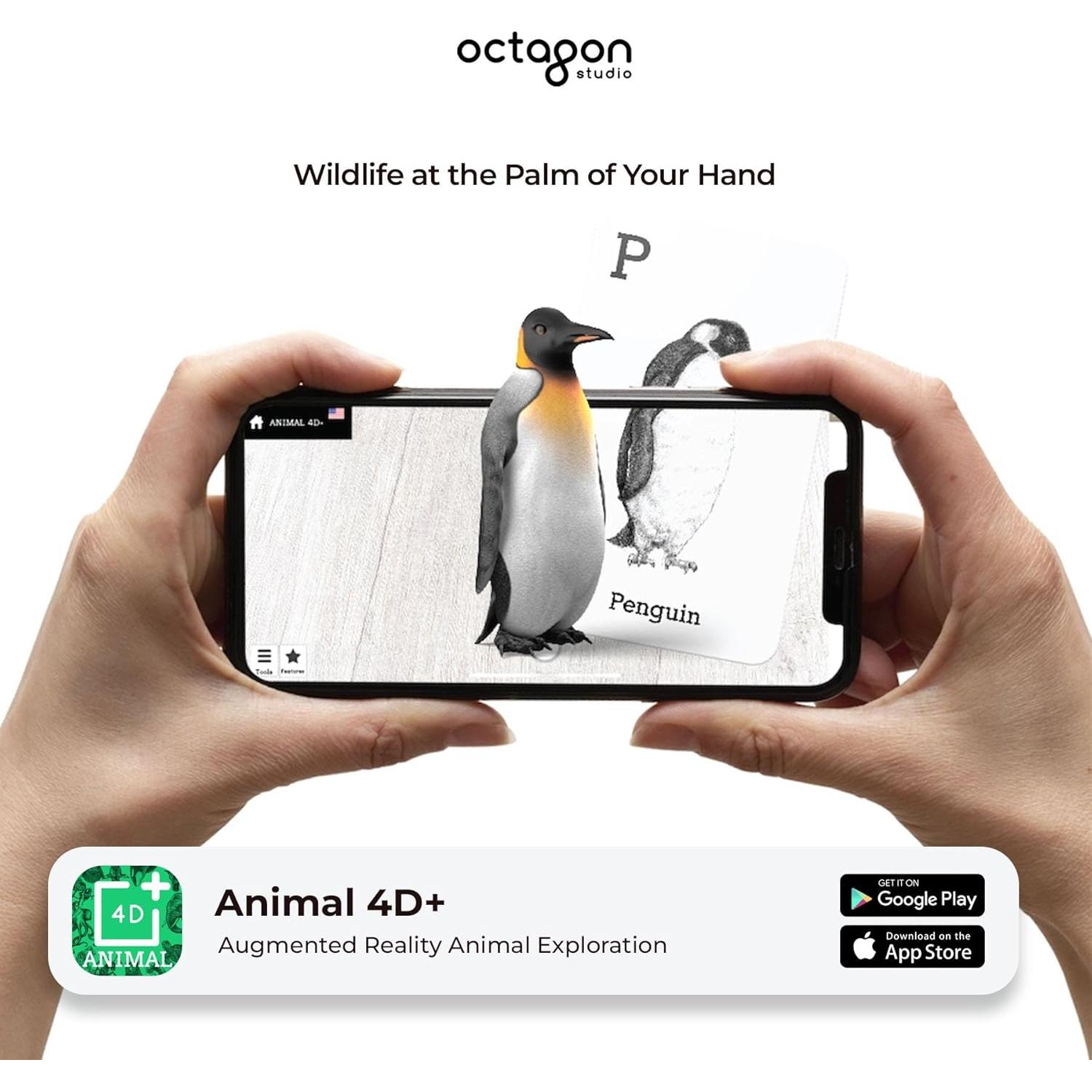 Tarjetas de Alfabeto 4D+ con Animales y Comida - Octagon