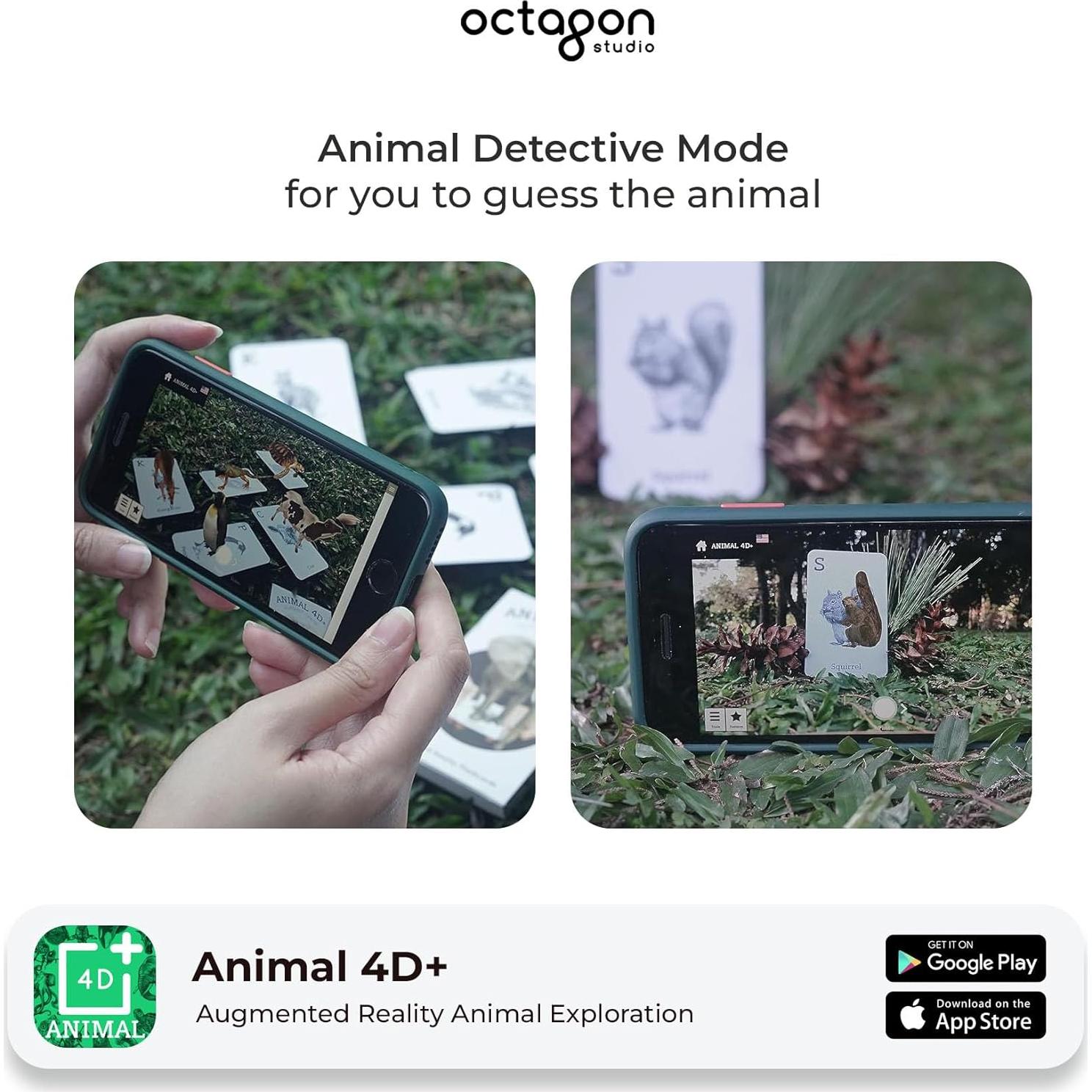 Tarjetas de Alfabeto 4D+ con Animales y Comida - Octagon
