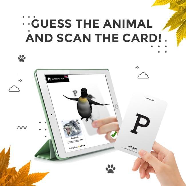 Tarjetas de Alfabeto 4D+ con Animales y Comida - Octagon