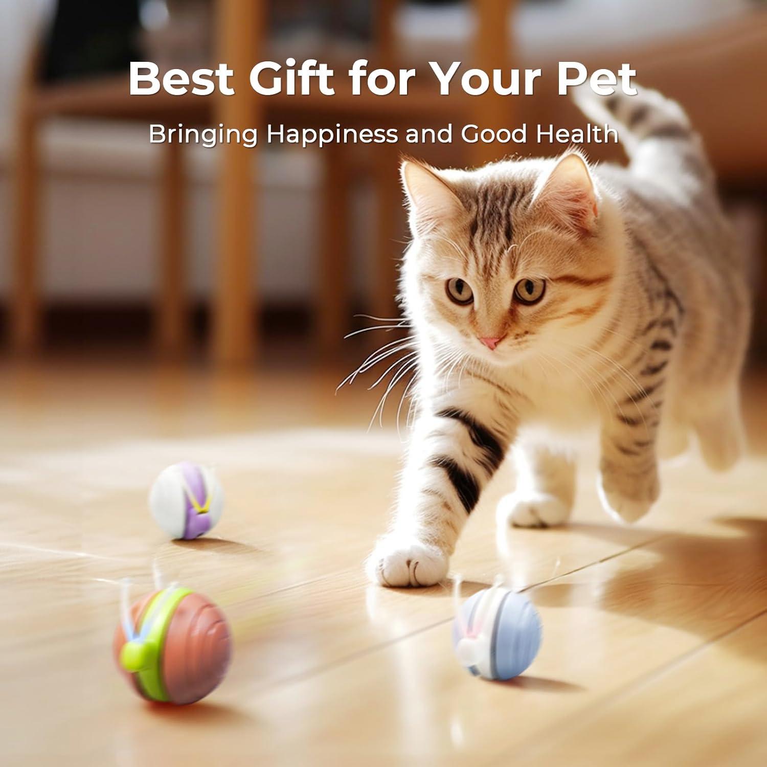 Juguete Interactivo Cheerble Caracol Malvado para Gatos