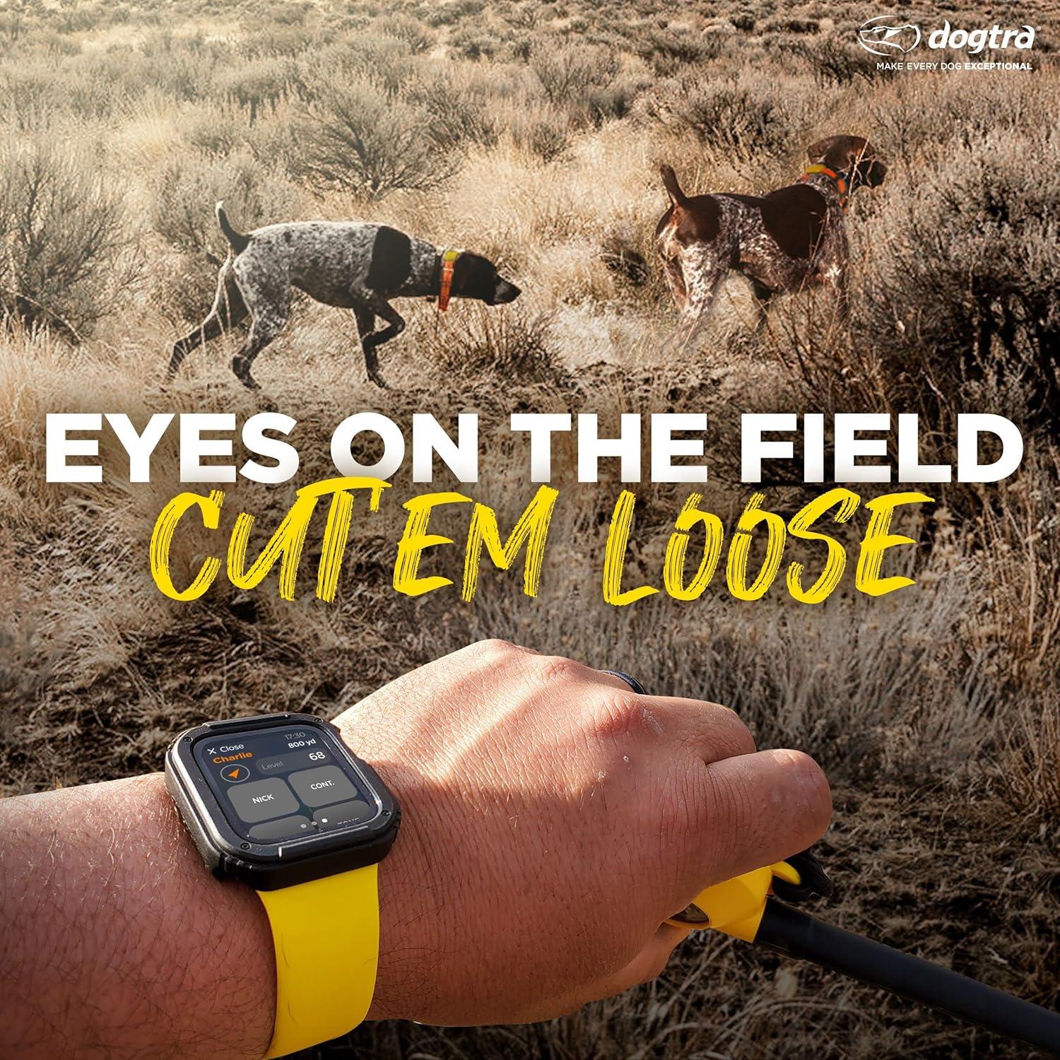 Collar GPS Dogtra Pathfinder 2 para Perros Grandes