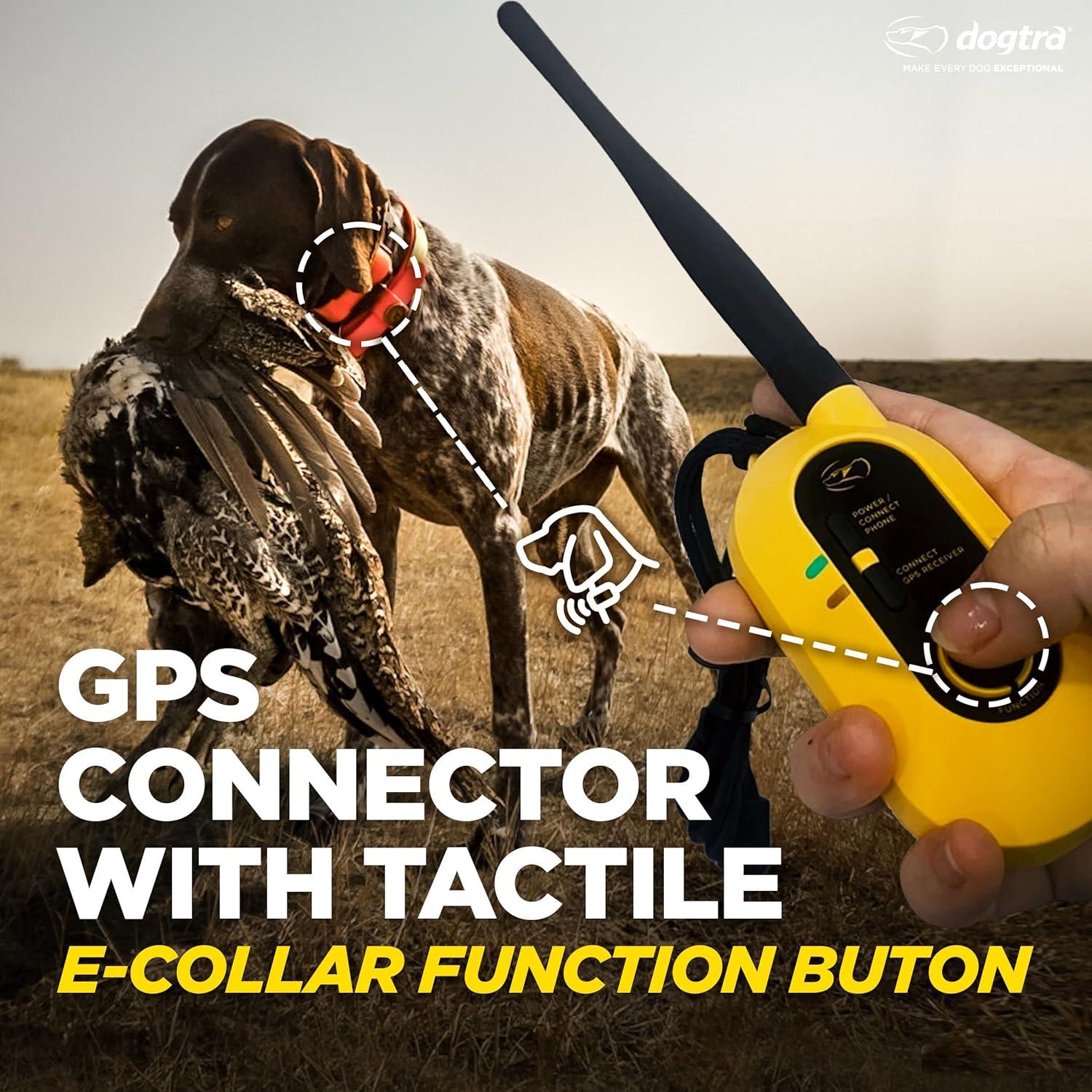 Collar GPS Dogtra Pathfinder 2 para Perros Grandes