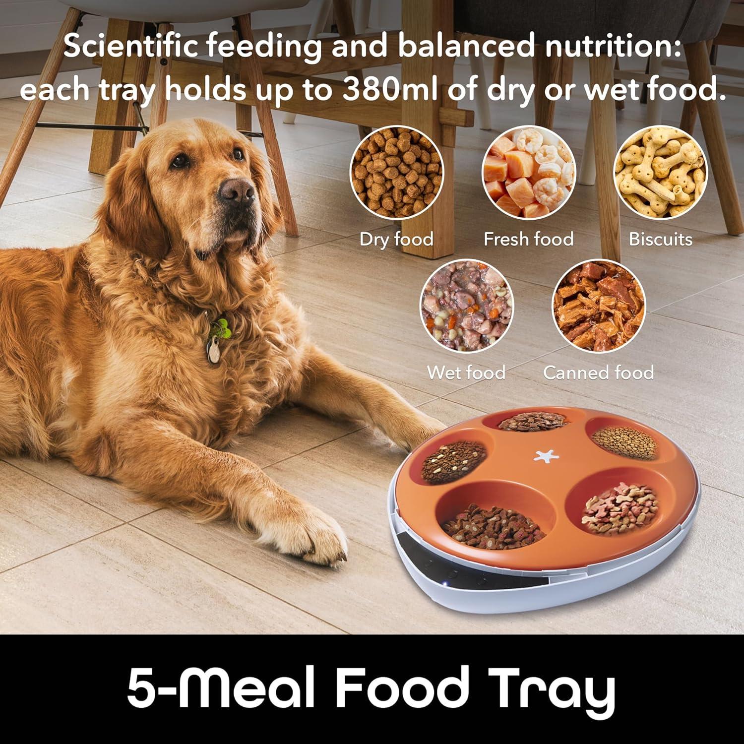 Geeni Alimentador Inteligente para Mascotas 2,68 kg Control App