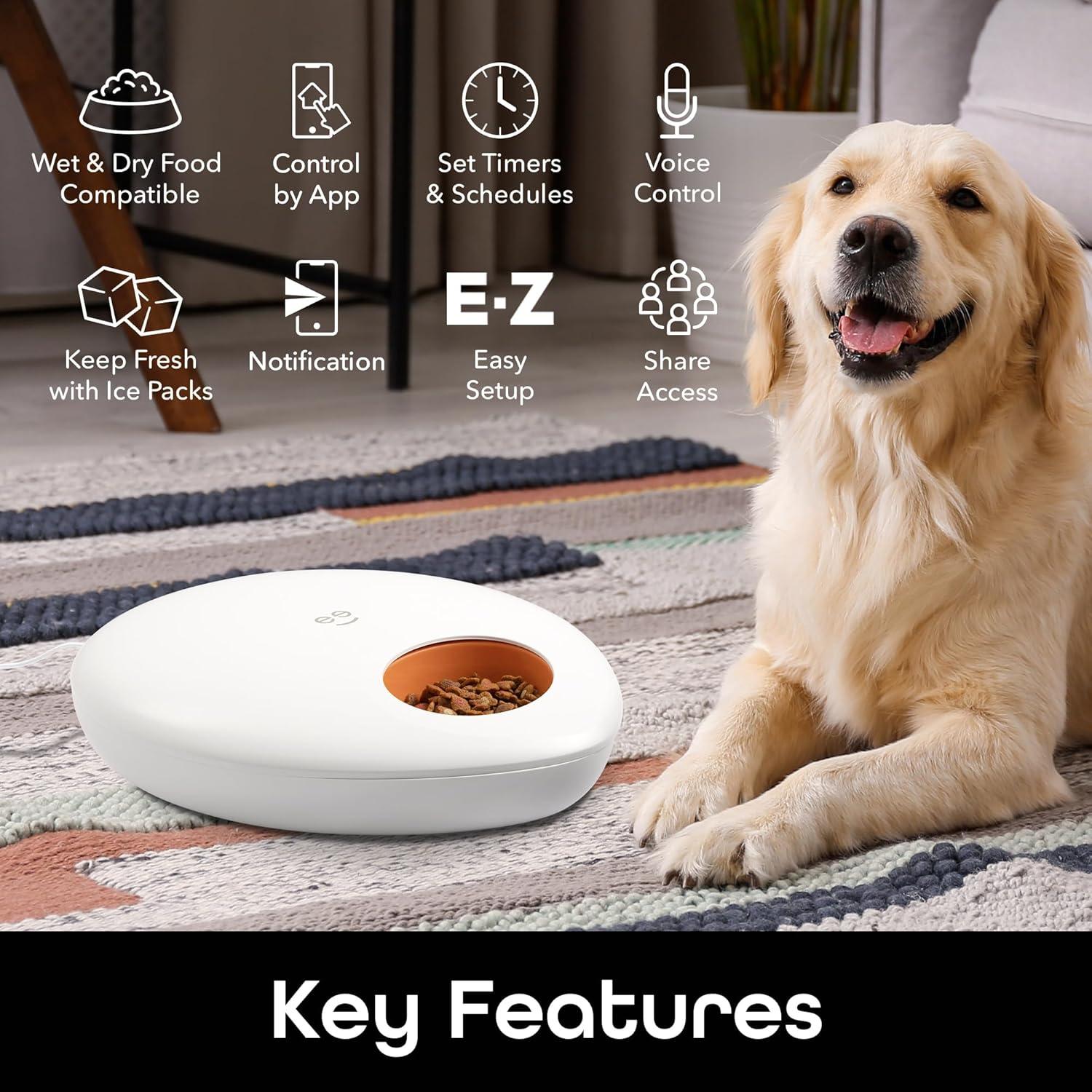 Geeni Alimentador Inteligente para Mascotas 2,68 kg Control App
