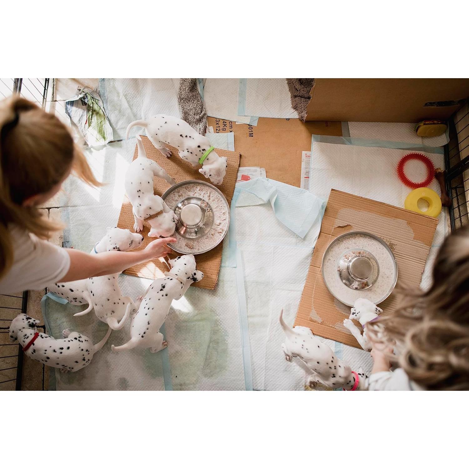 Cuencos de Acero Inoxidable Podinor para Cachorros 30cm