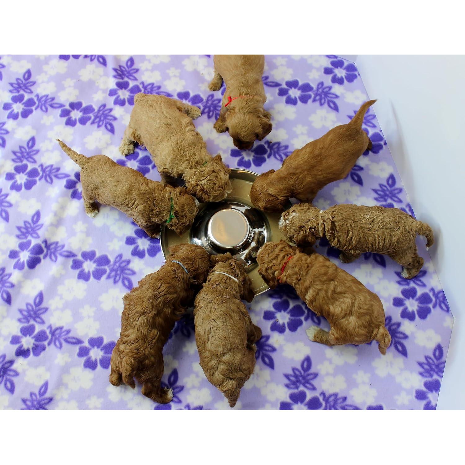 Cuencos de Acero Inoxidable Podinor para Cachorros 30cm