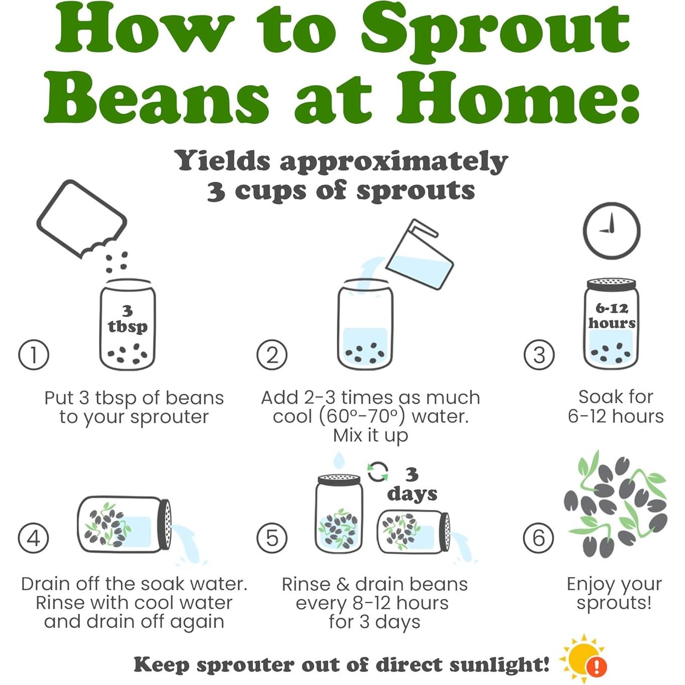 Frijoles Adzuki Crudos Food to Live 227g - Vegano y Kosher