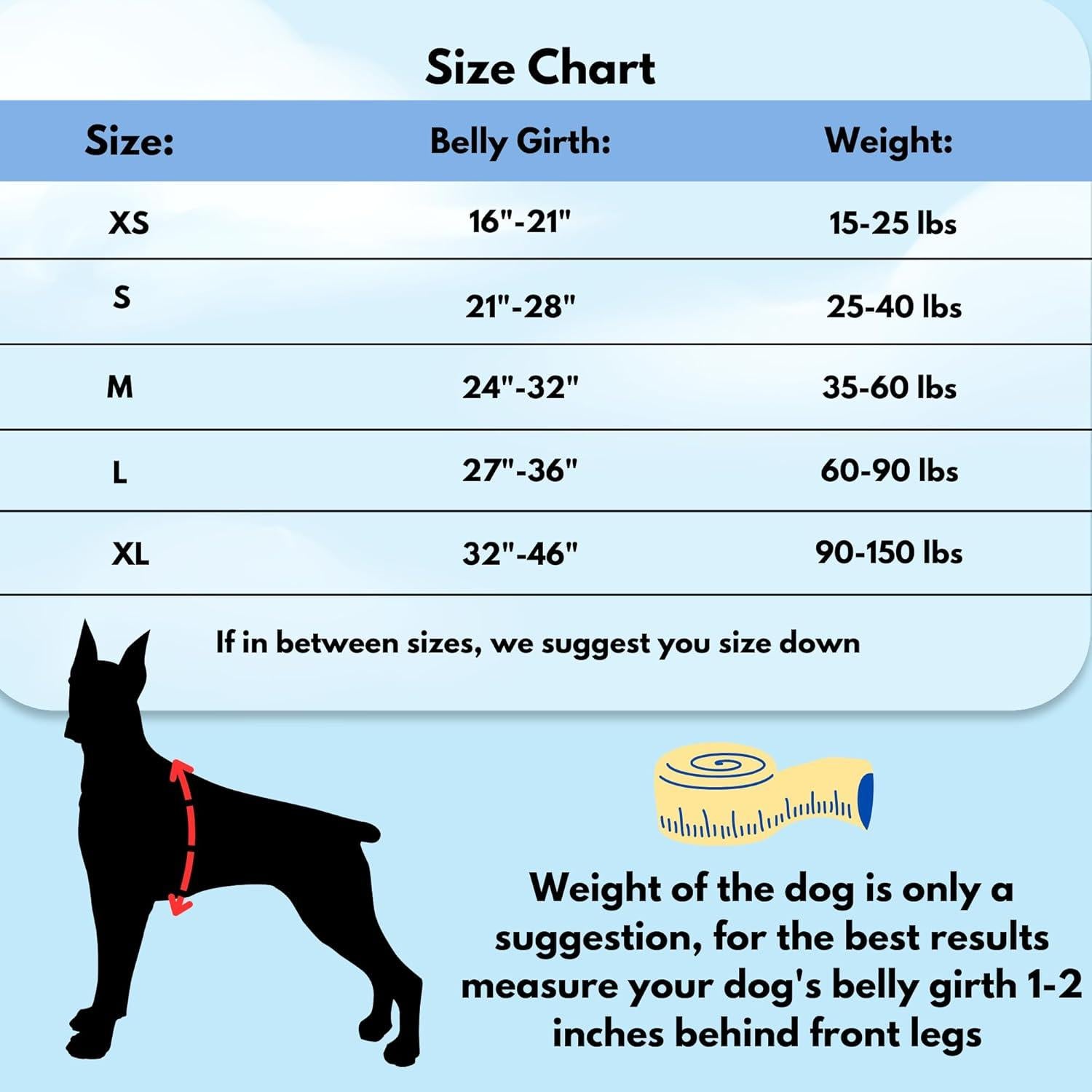 Arnés para Perros ShawnCo Dream Walk - Ajustable Orquídea M