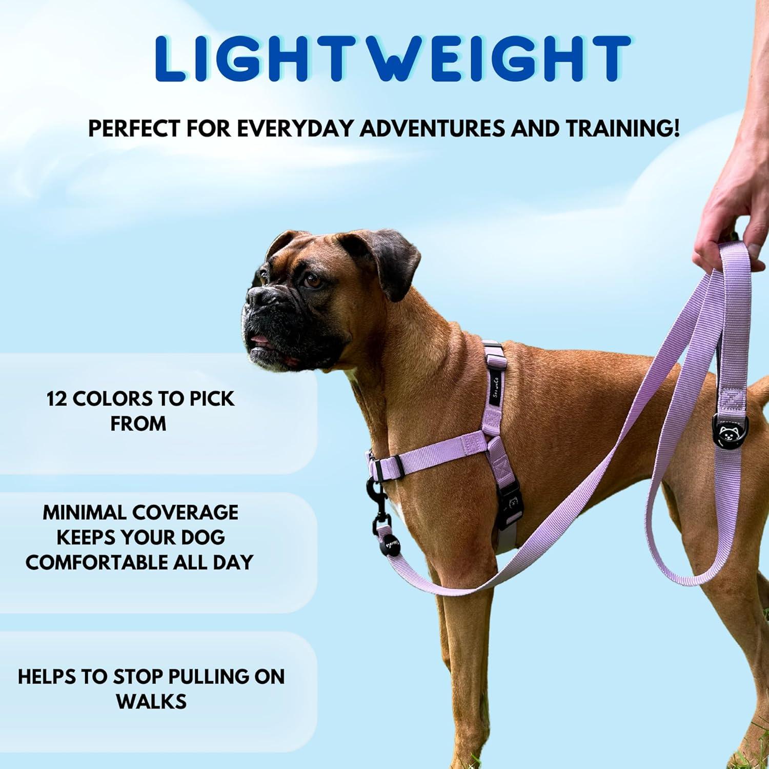 Arnés para Perros ShawnCo Dream Walk - Ajustable Orquídea M