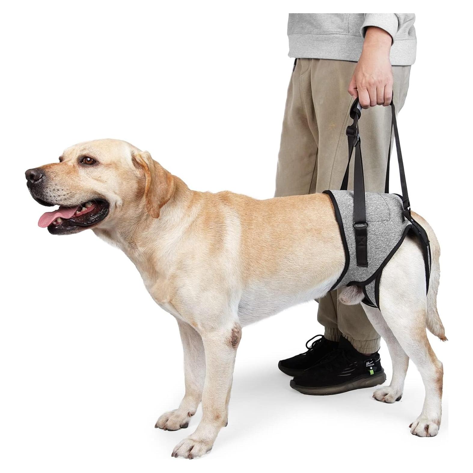 Arnés Elevación para Perros HDKUW XL Soporte Patas Traseras