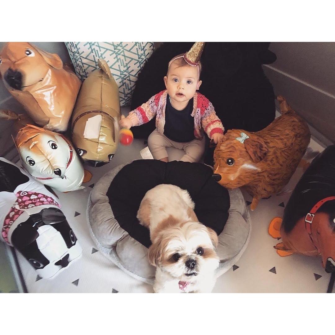 Globos de Perro Caminante LHOAVWE Paquete de 4 Gigante