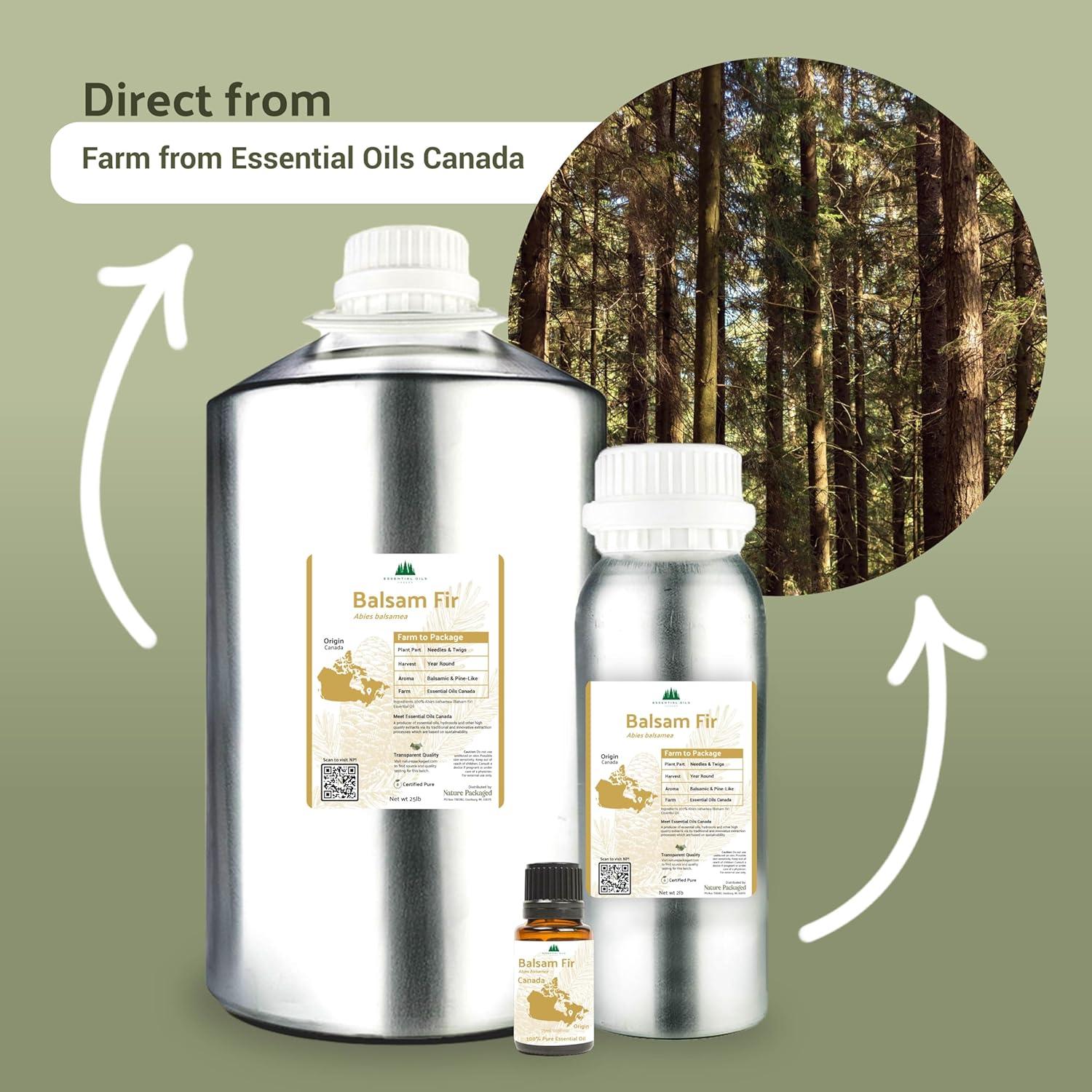 Aceite Esencial de Abeto Balsámico Nature Packaged 15ml - Grado Terapéutico