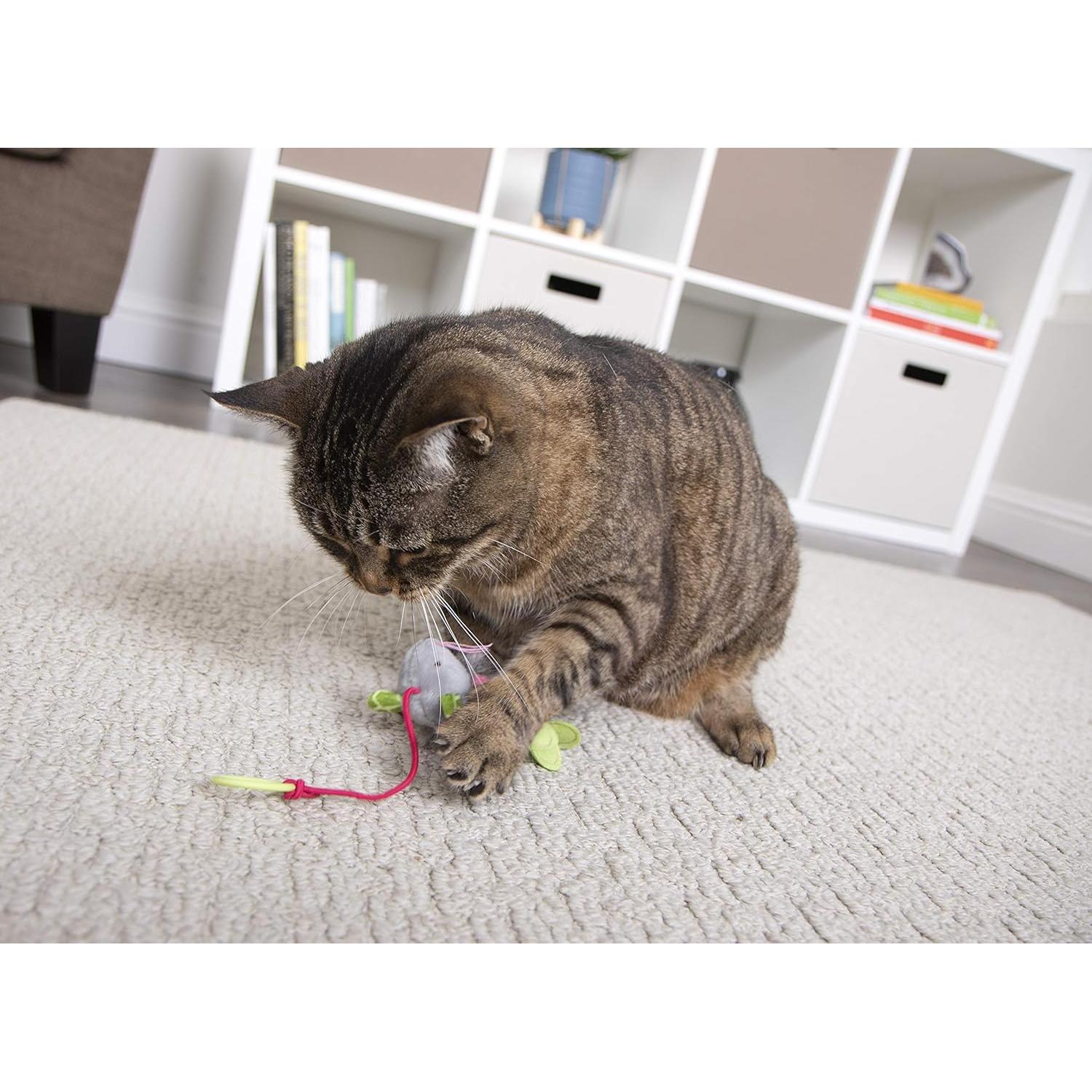 Juguete para Gato SmartyKat Ratón Saltarín - Color Aleatorio