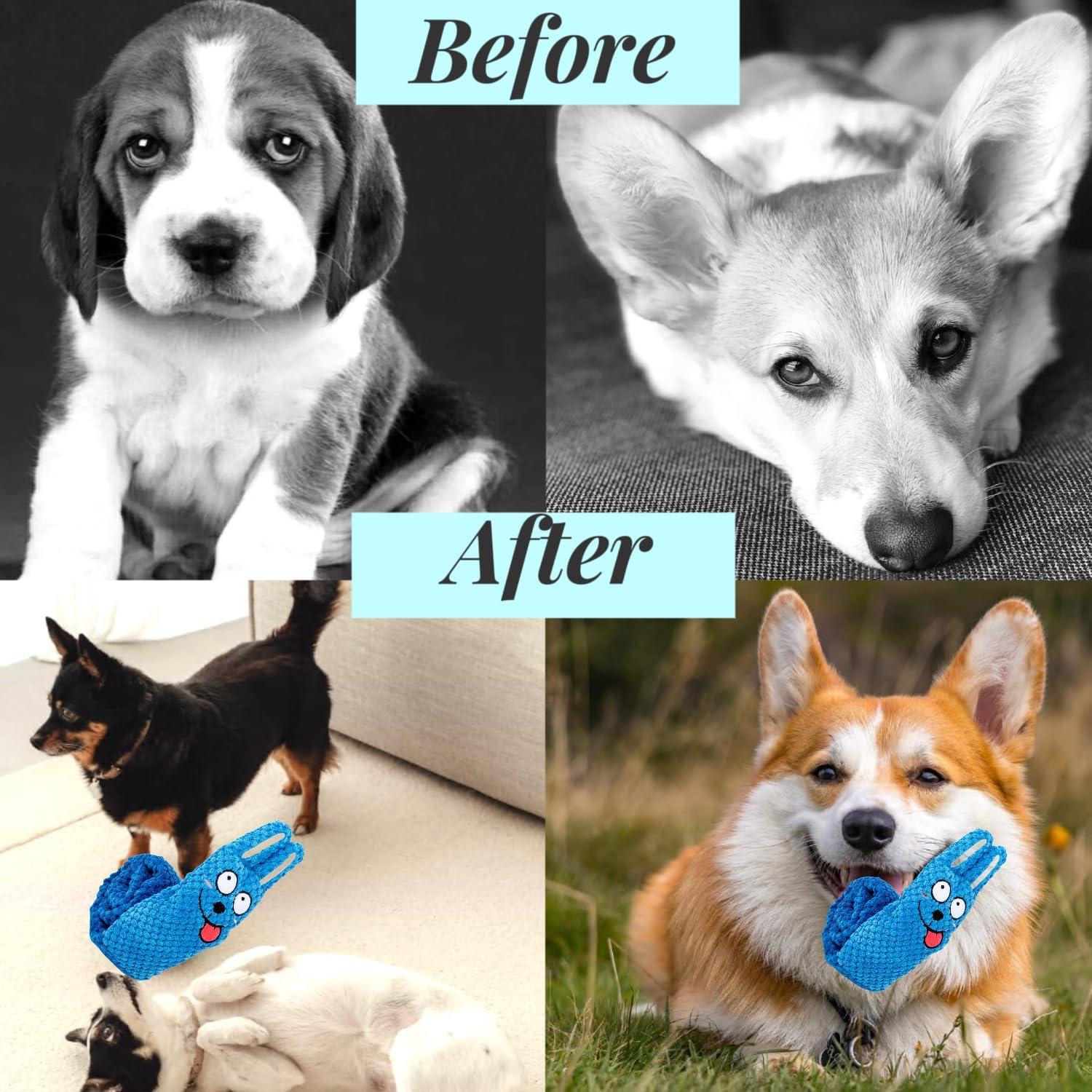 Juguete interactivo para perros CIIVURR Conejo Azul 12cm