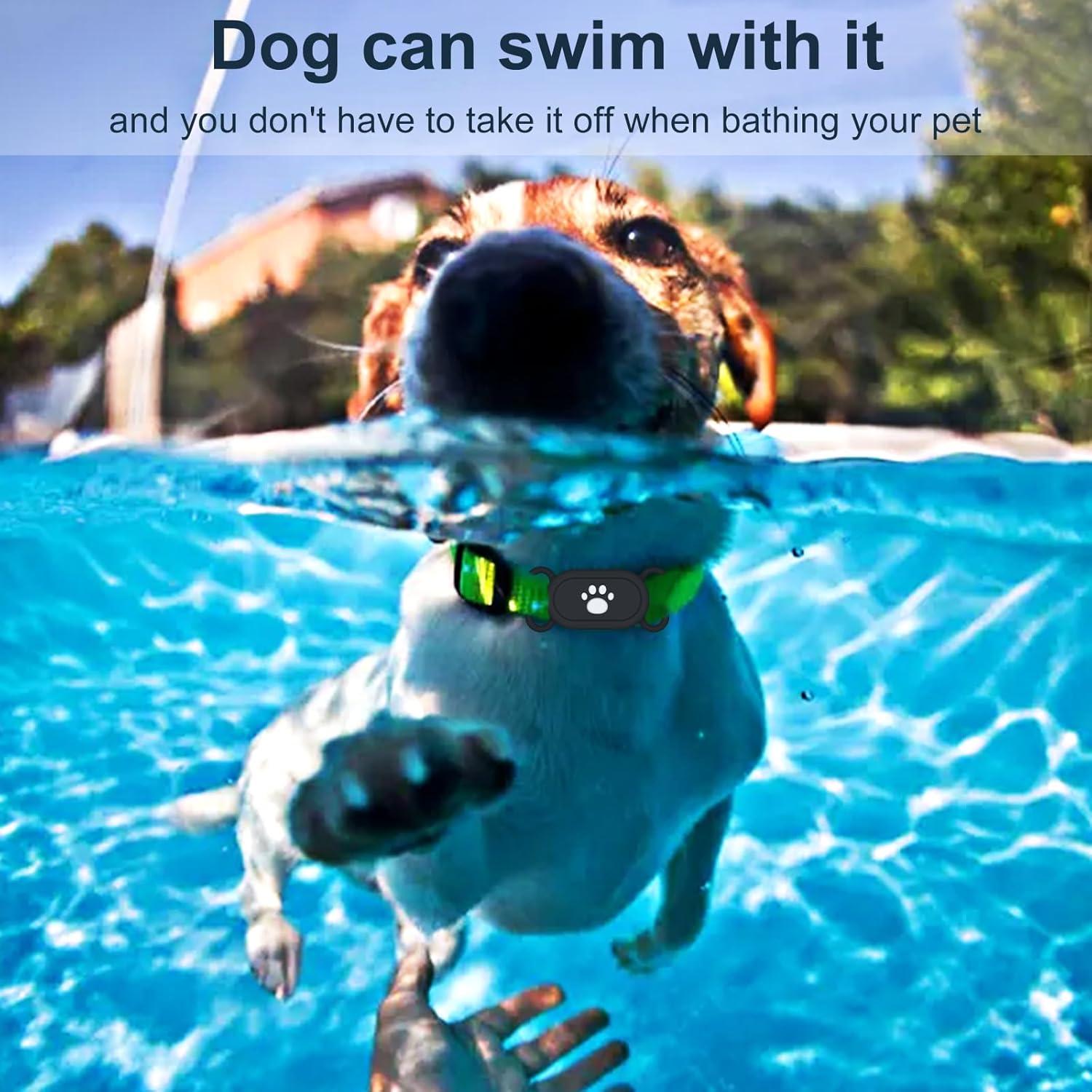 Soporte para Collar de Perro Samsung Galaxy SmartTag2 - 2 Fundas