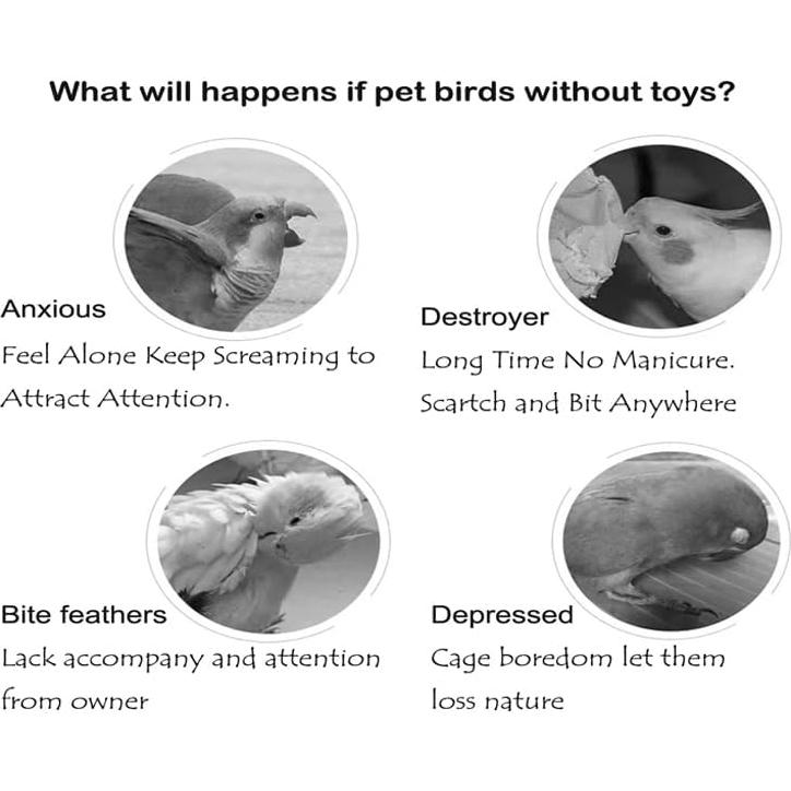 Juguete Musical para Loro Fejapa Xilófono y Campana