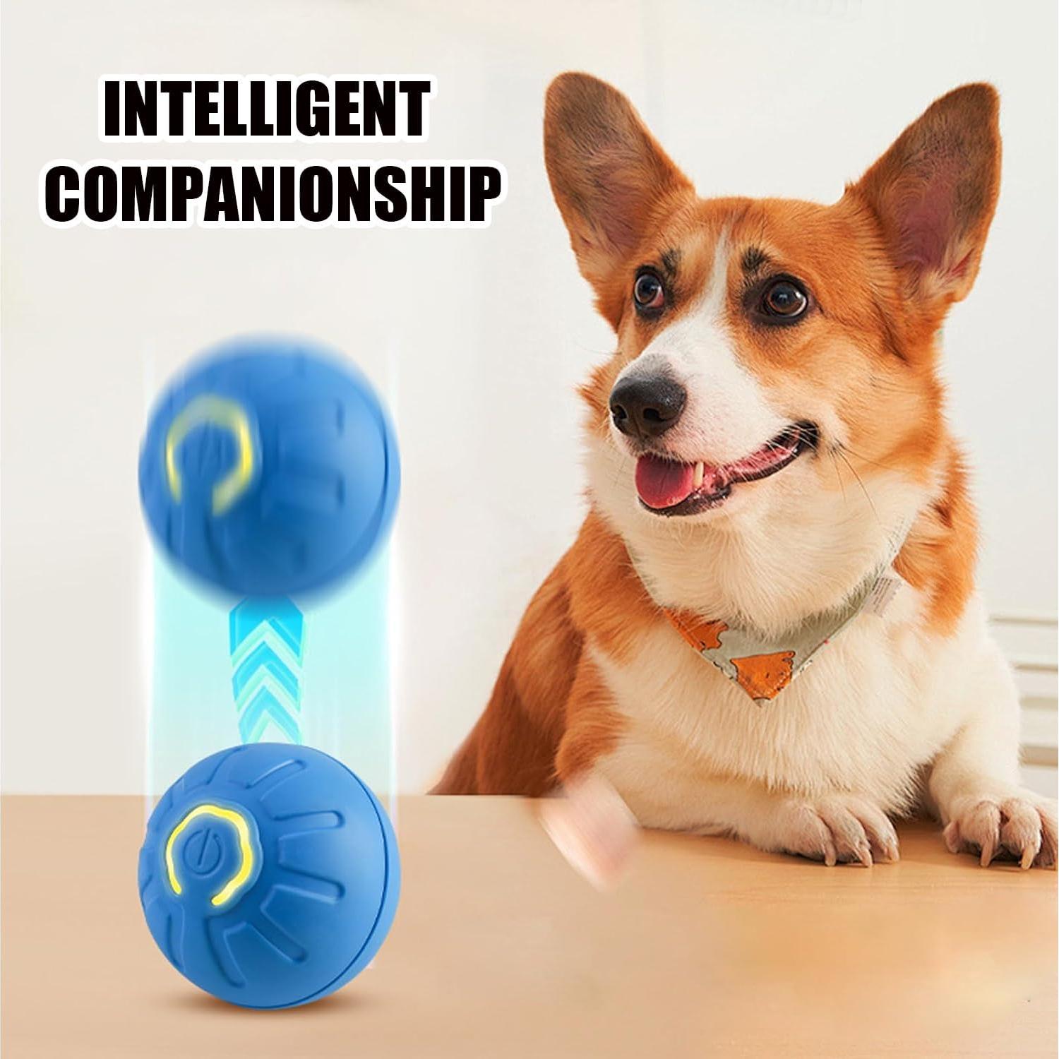 Pelota Temblorosa para Perros Huooerpthuore Azul LED