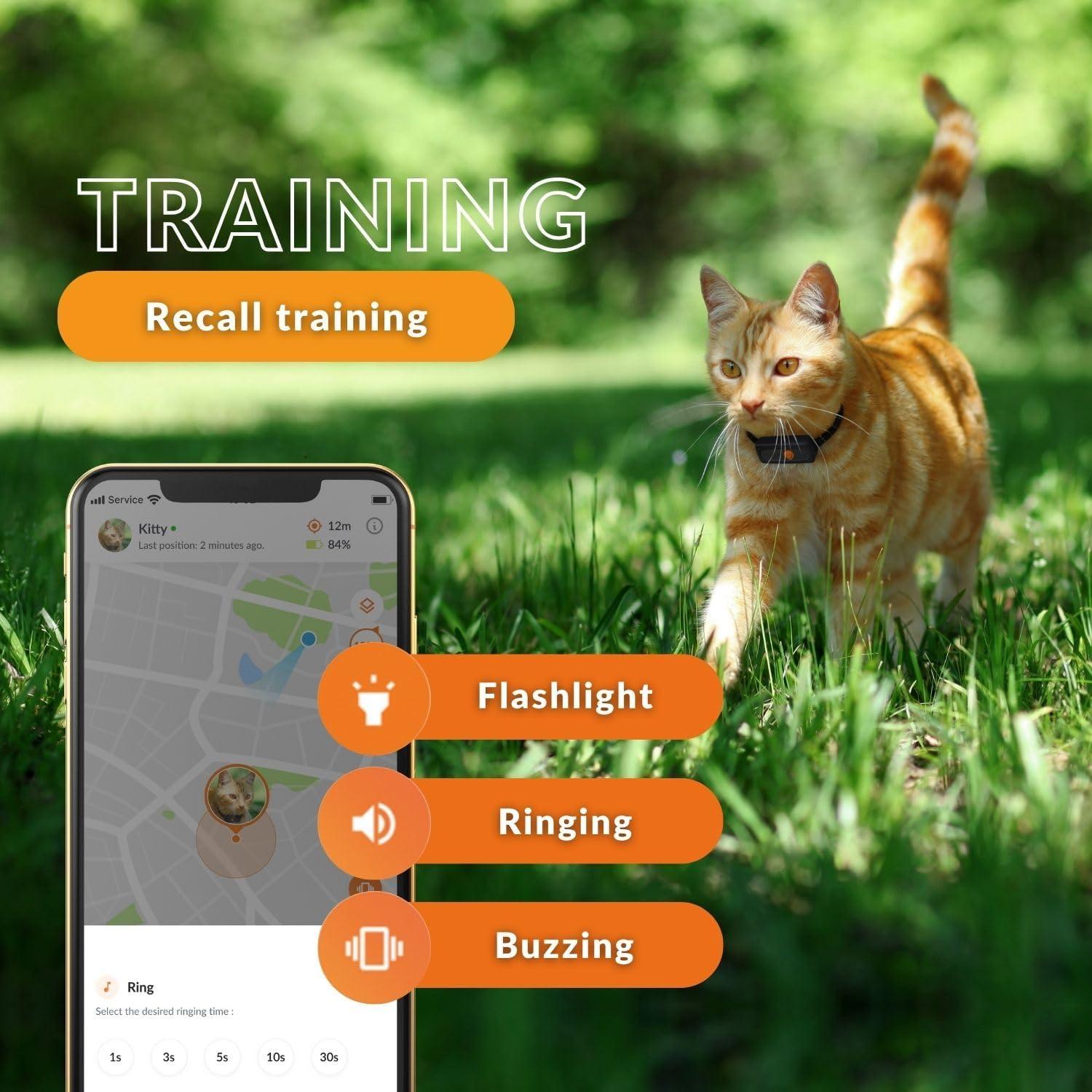 Rastreador GPS Weenect Cat XS para gatos | Mini y ligero