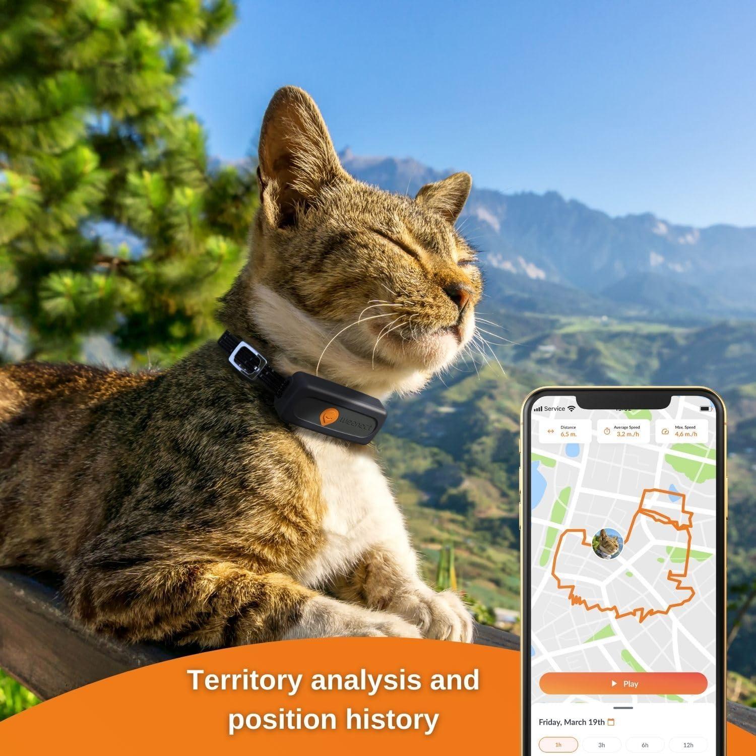 Rastreador GPS Weenect Cat XS para gatos | Mini y ligero