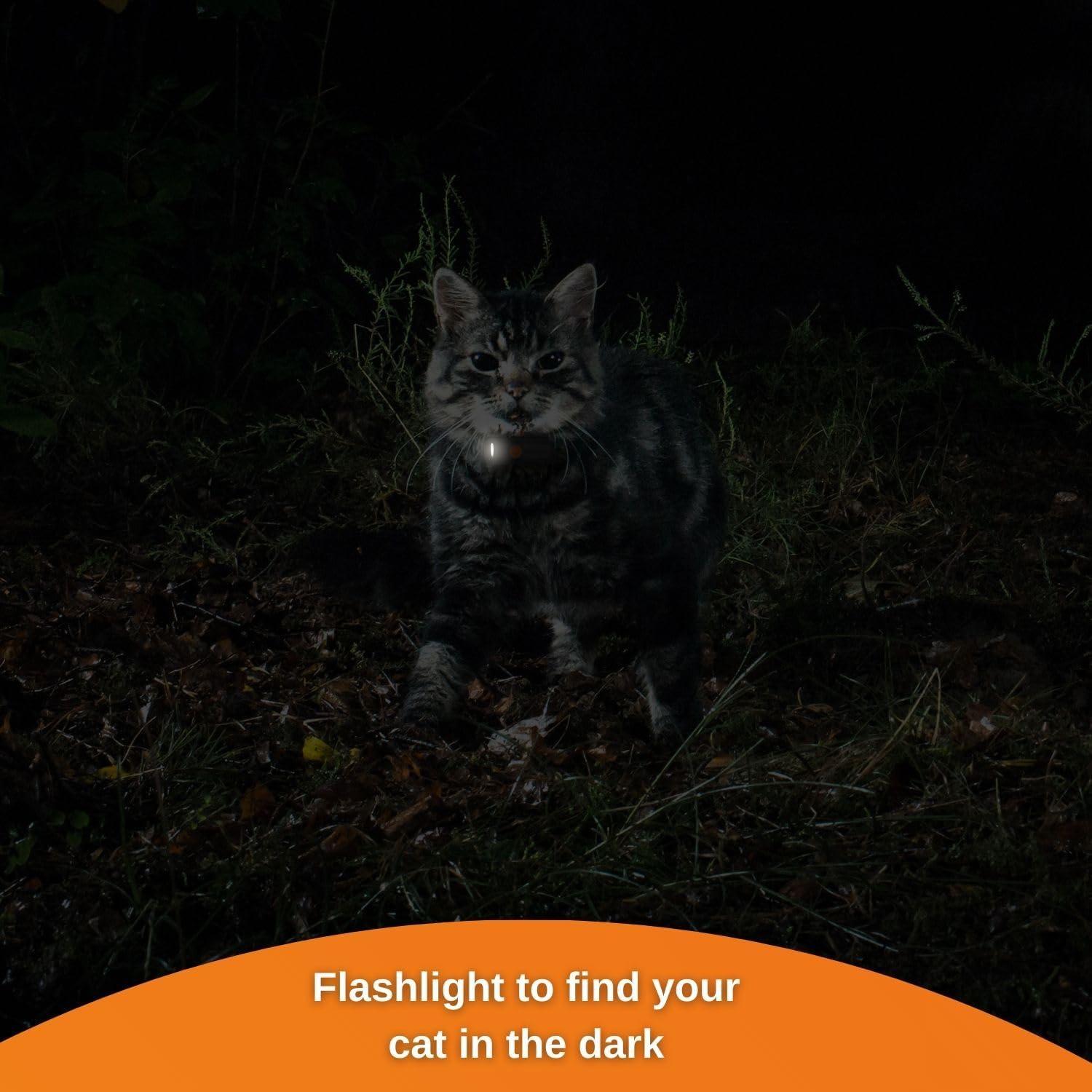 Rastreador GPS Weenect Cat XS para gatos | Mini y ligero