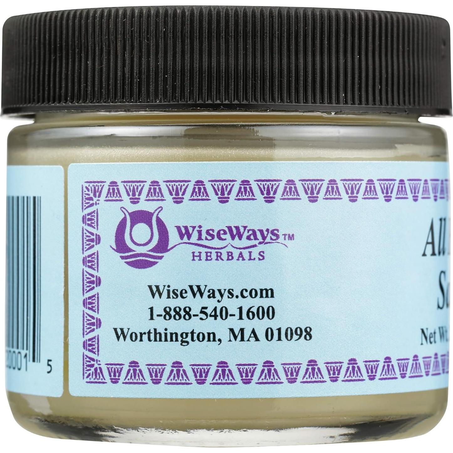 Ungüento Todo Sanador Natural Wise Ways 60ml