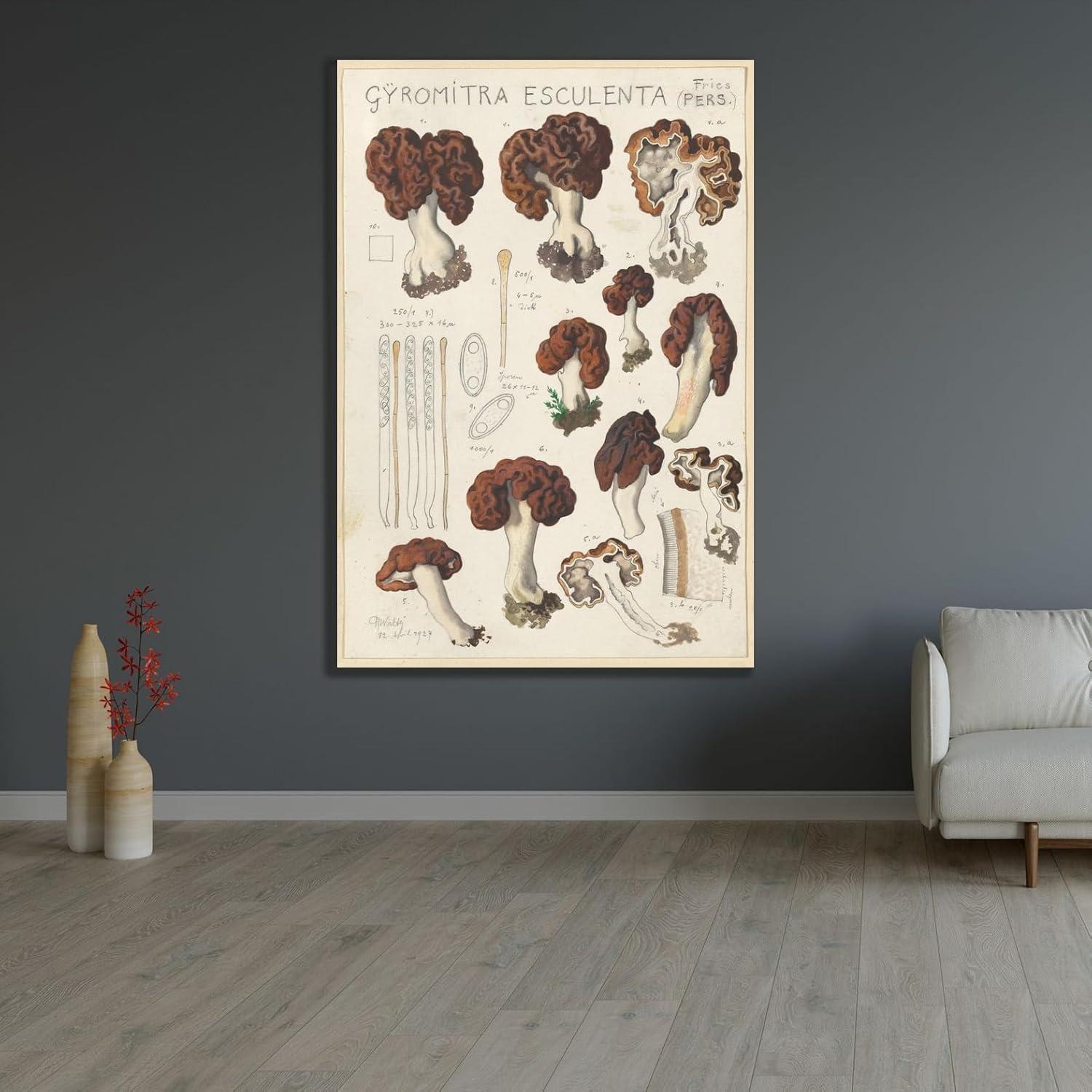 Impresión de Arte Enmarcada Hans Walty Gyromitra esculenta 35-104 cm