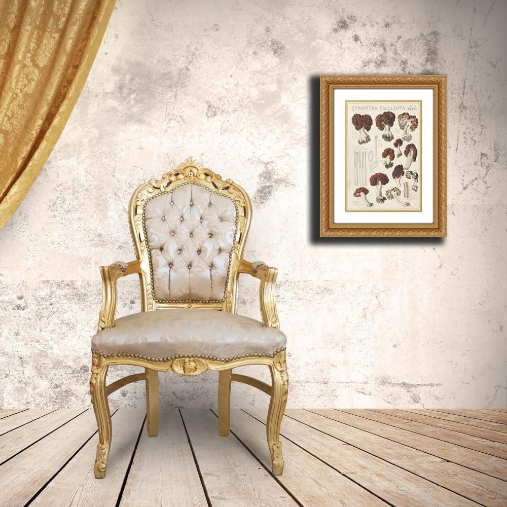 Impresión de Arte Enmarcada Hans Walty Gyromitra esculenta 35-104 cm