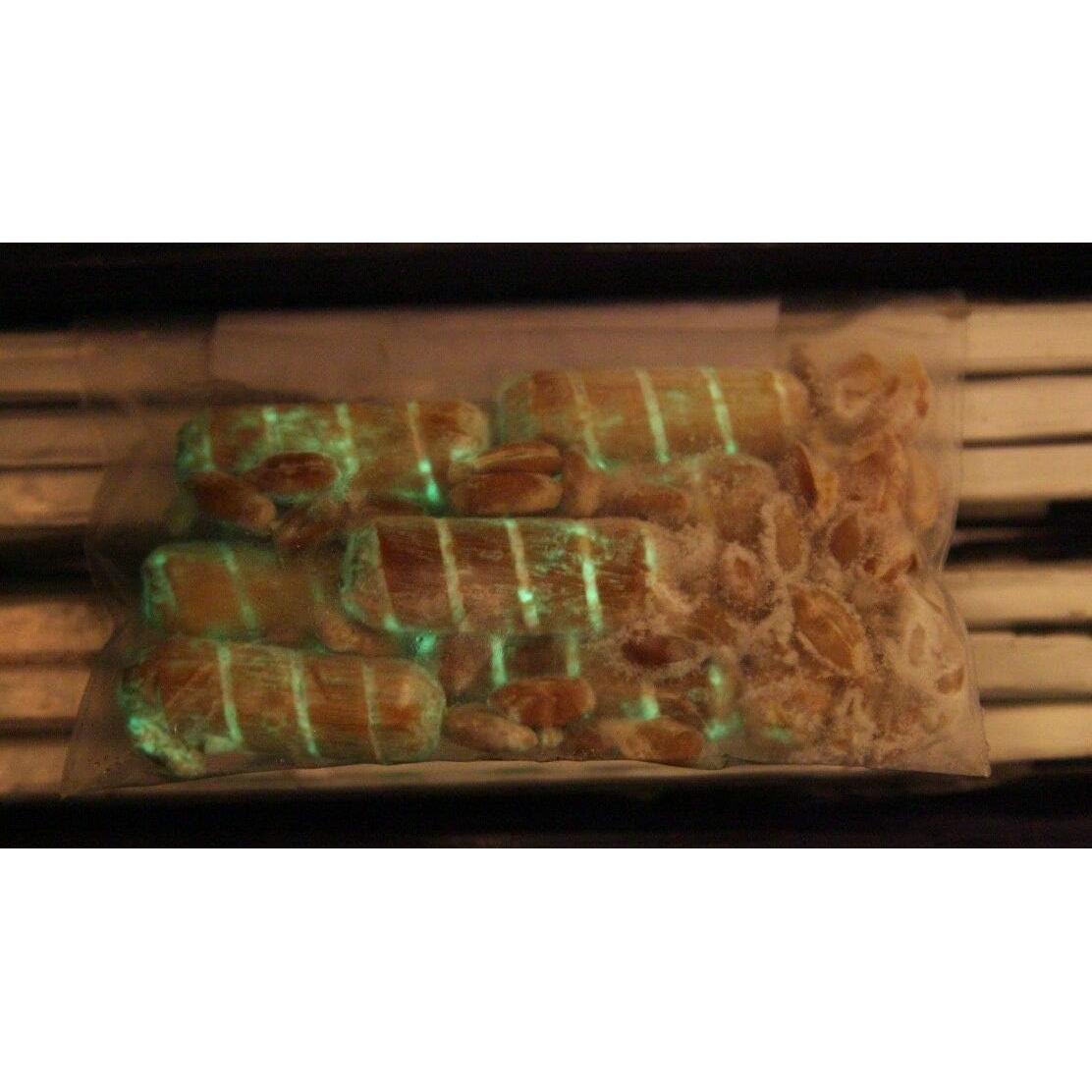 Plugs de Cultivo de Hongos Brillantes Forest Organics - 20 Piezas