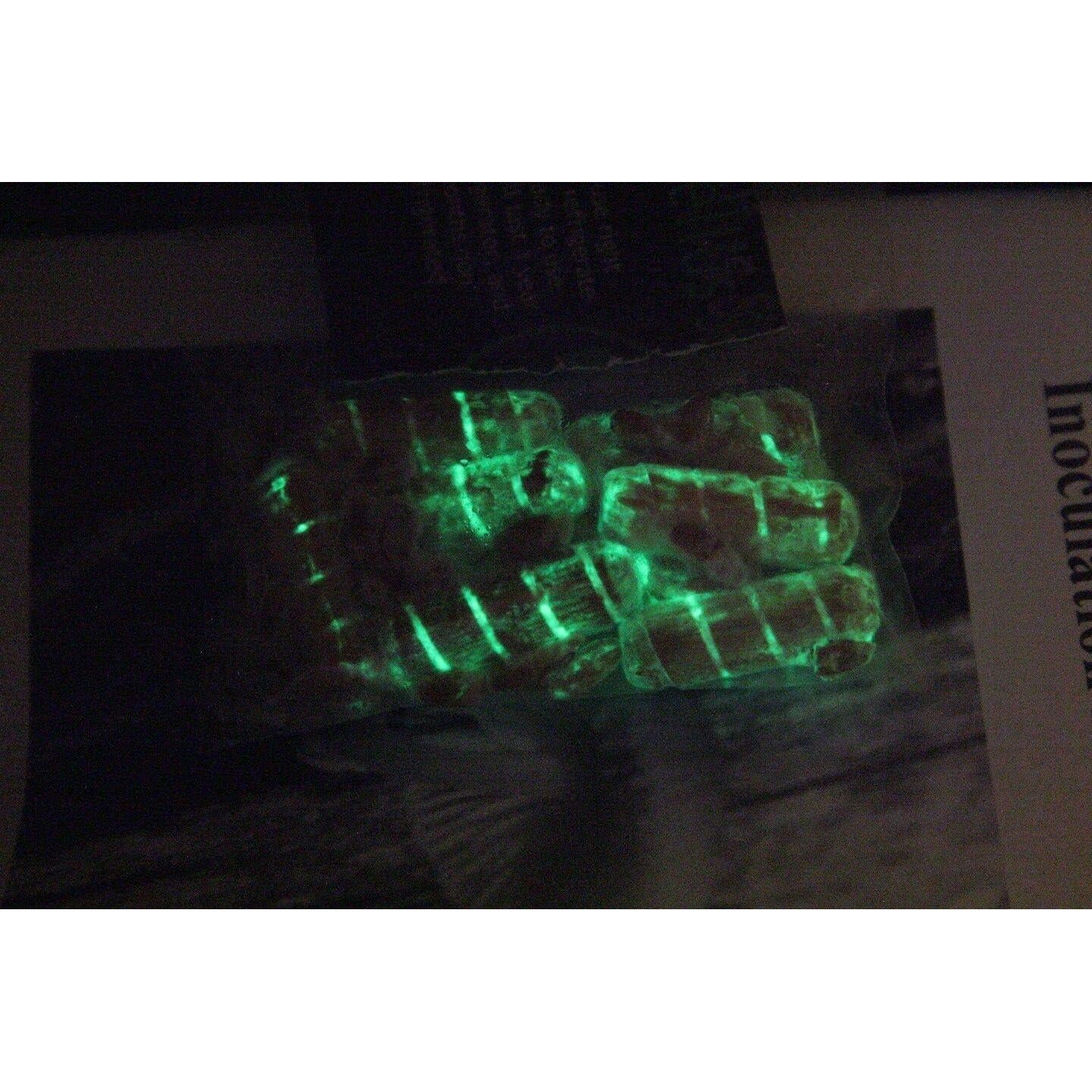 Plugs de Cultivo de Hongos Brillantes Forest Organics - 20 Piezas