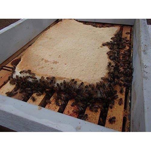 Torta de Alta Proteína para Abejas IMPORTADORES 0.45 kg - 2 Unidades