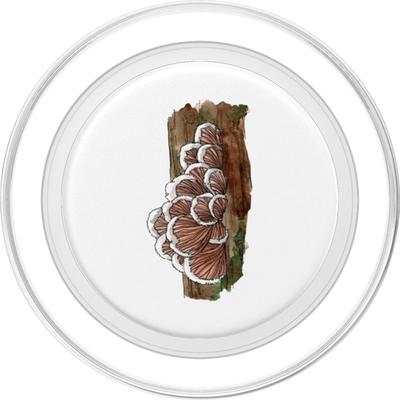 PopGrip MagSafe Hongo Schizophyllum Commune para iPhone