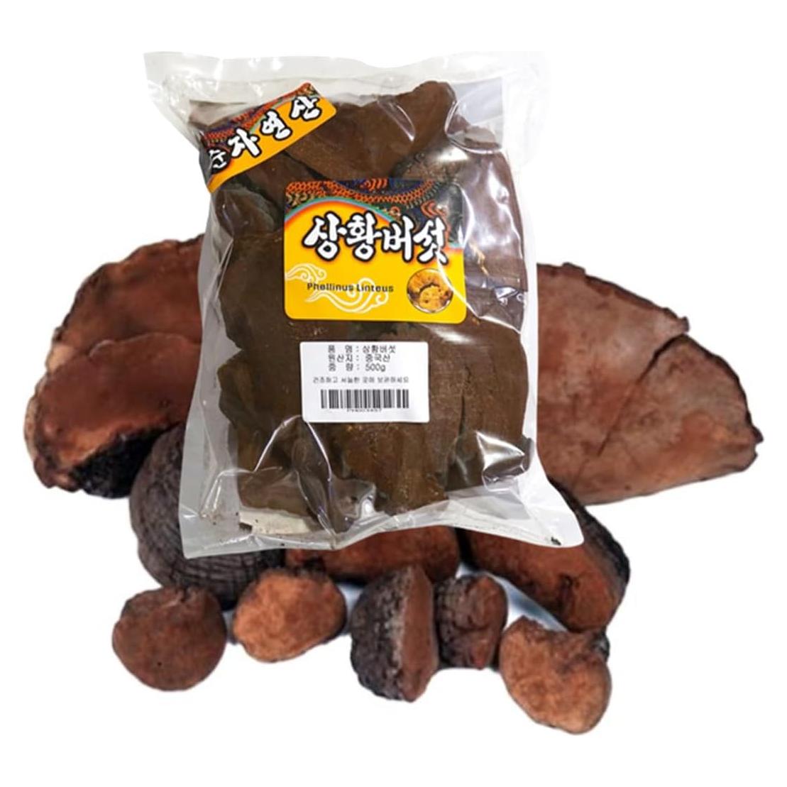 Hongo Phellinus linteus Orgánico 500g - 1000zga