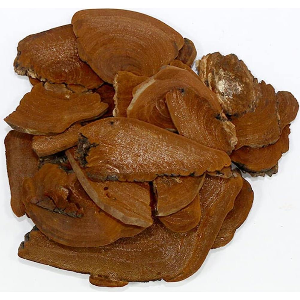 Hongo Phellinus linteus Orgánico 500g - 1000zga