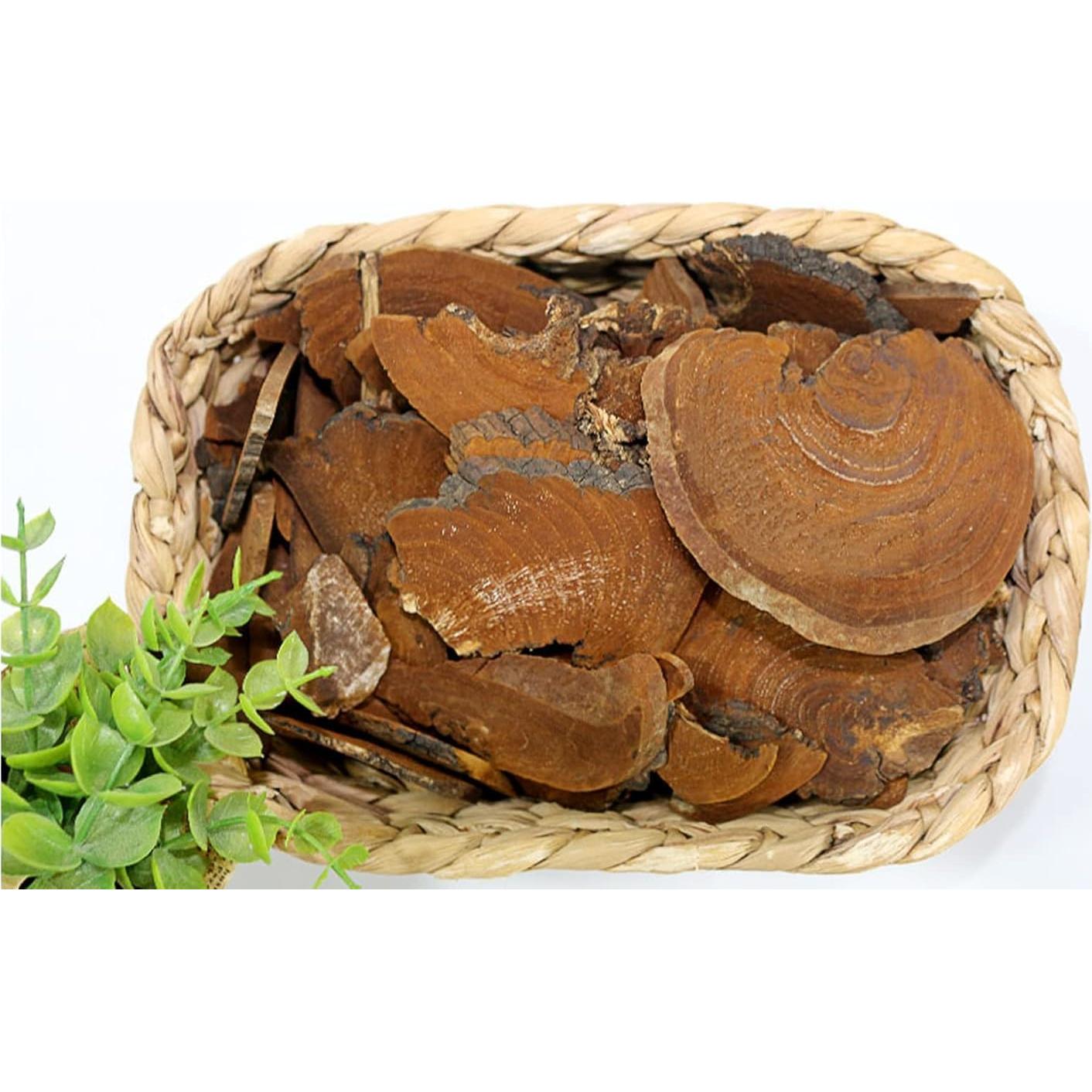 Hongo Phellinus linteus Orgánico 500g - 1000zga