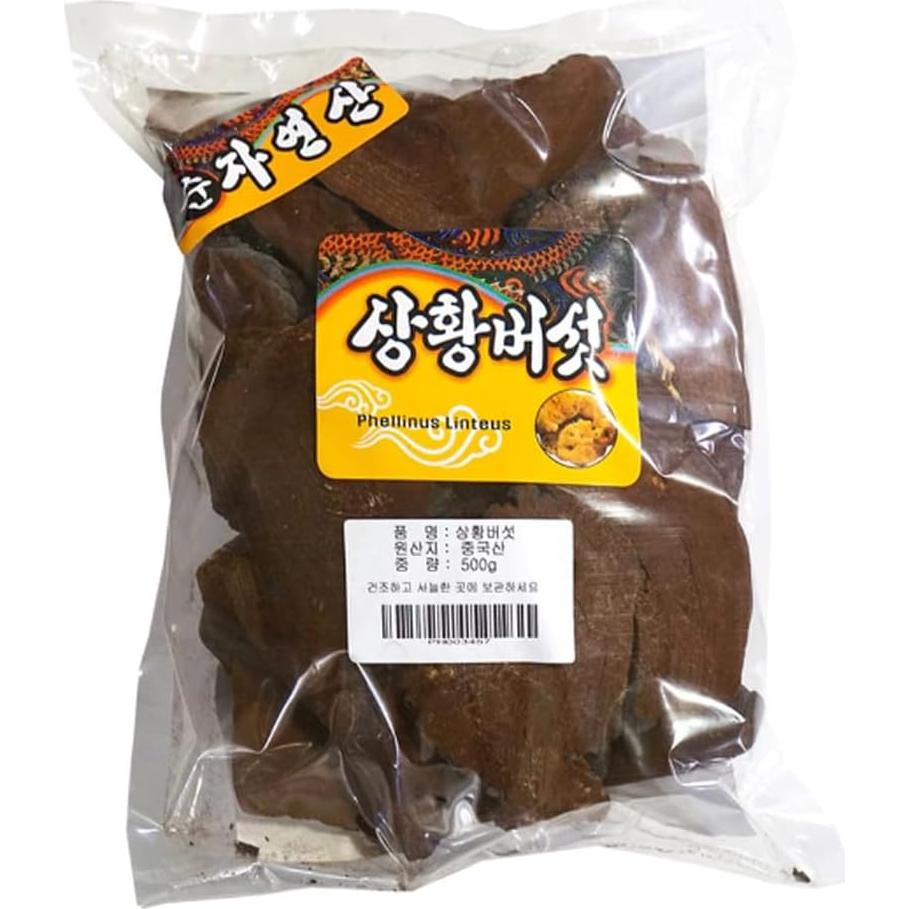 Hongo Phellinus linteus Orgánico 500g - 1000zga