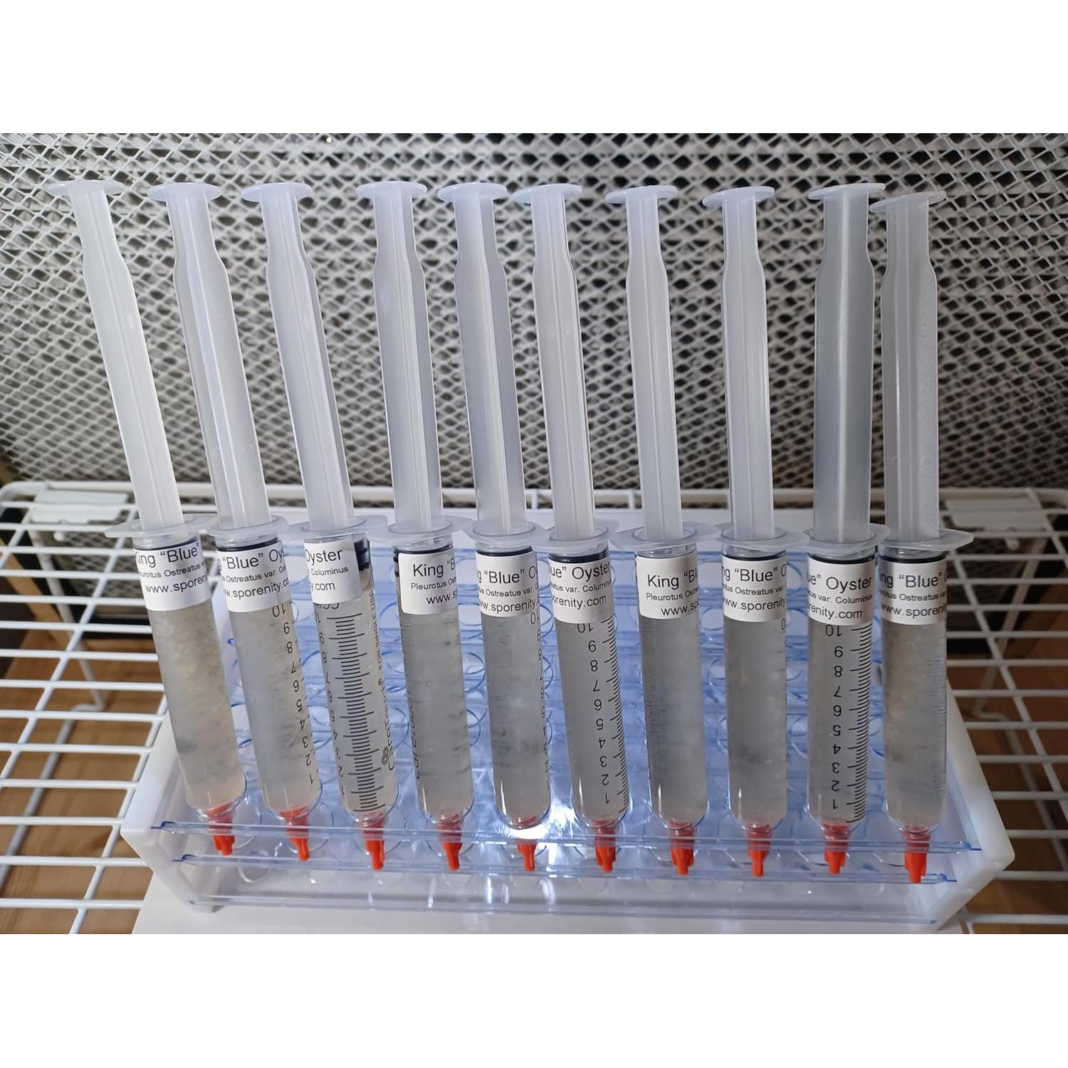 Jeringa de Cultura Líquida Hongo Ostra Azul Sporenity 10CC
