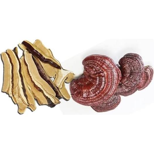 Té de Hongo Ganoderma 100g BH BridgeHerb - Hierbas Medicinales