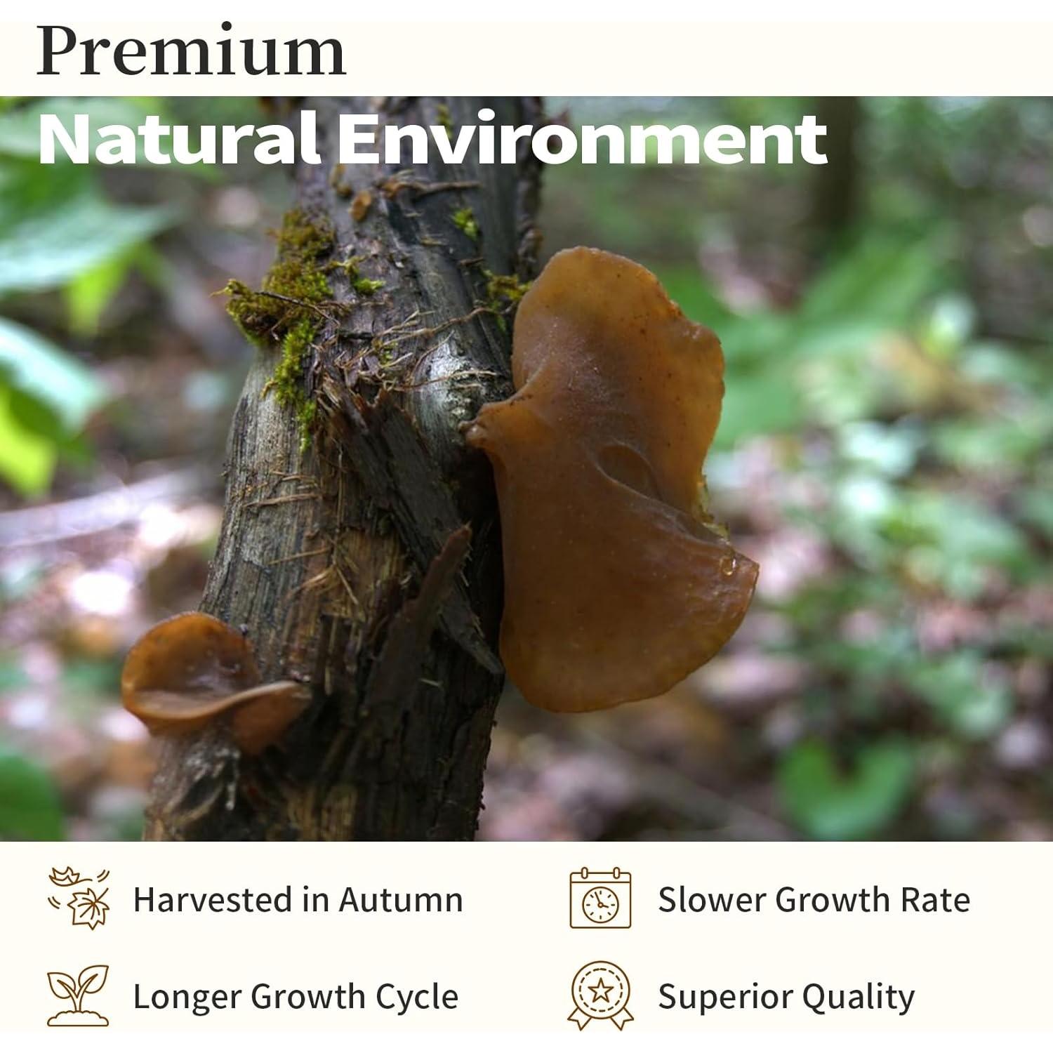 Hongos Negros Secos Premium Wanhua 200g - Textura Crujiente