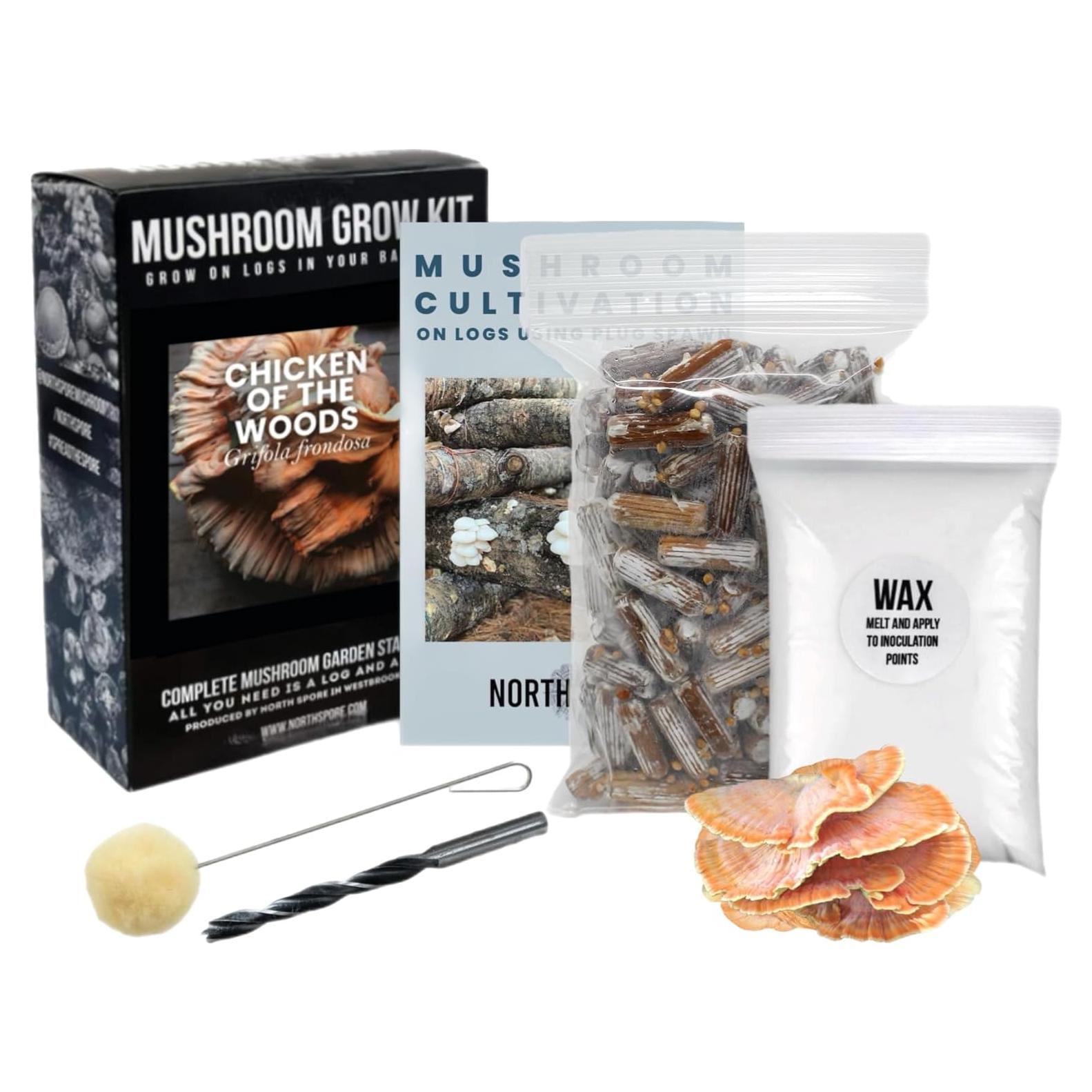 Kit de Cultivo de Champiñones Chicken of the Woods North Spore - 100 Tapones