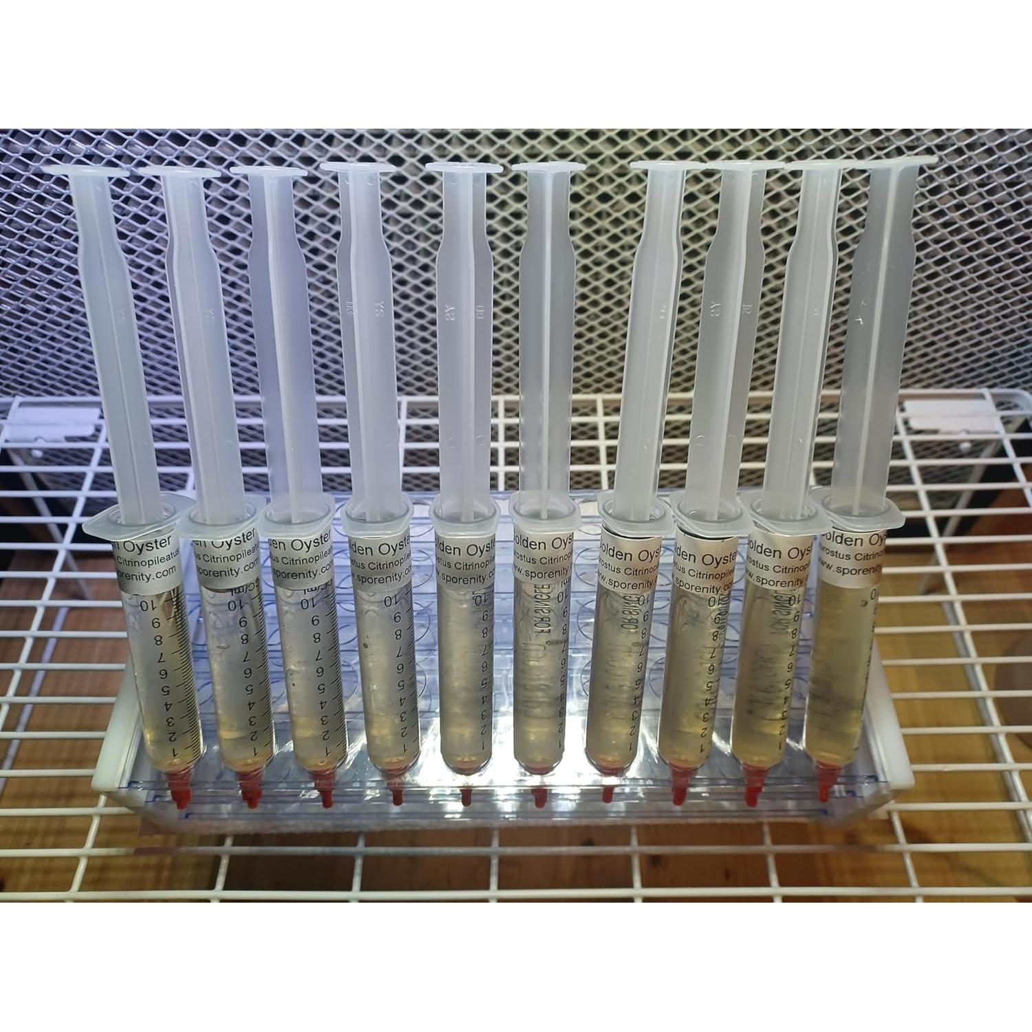 Jeringa de Cultura Líquida Ostra Dorada Sporenity 10CC