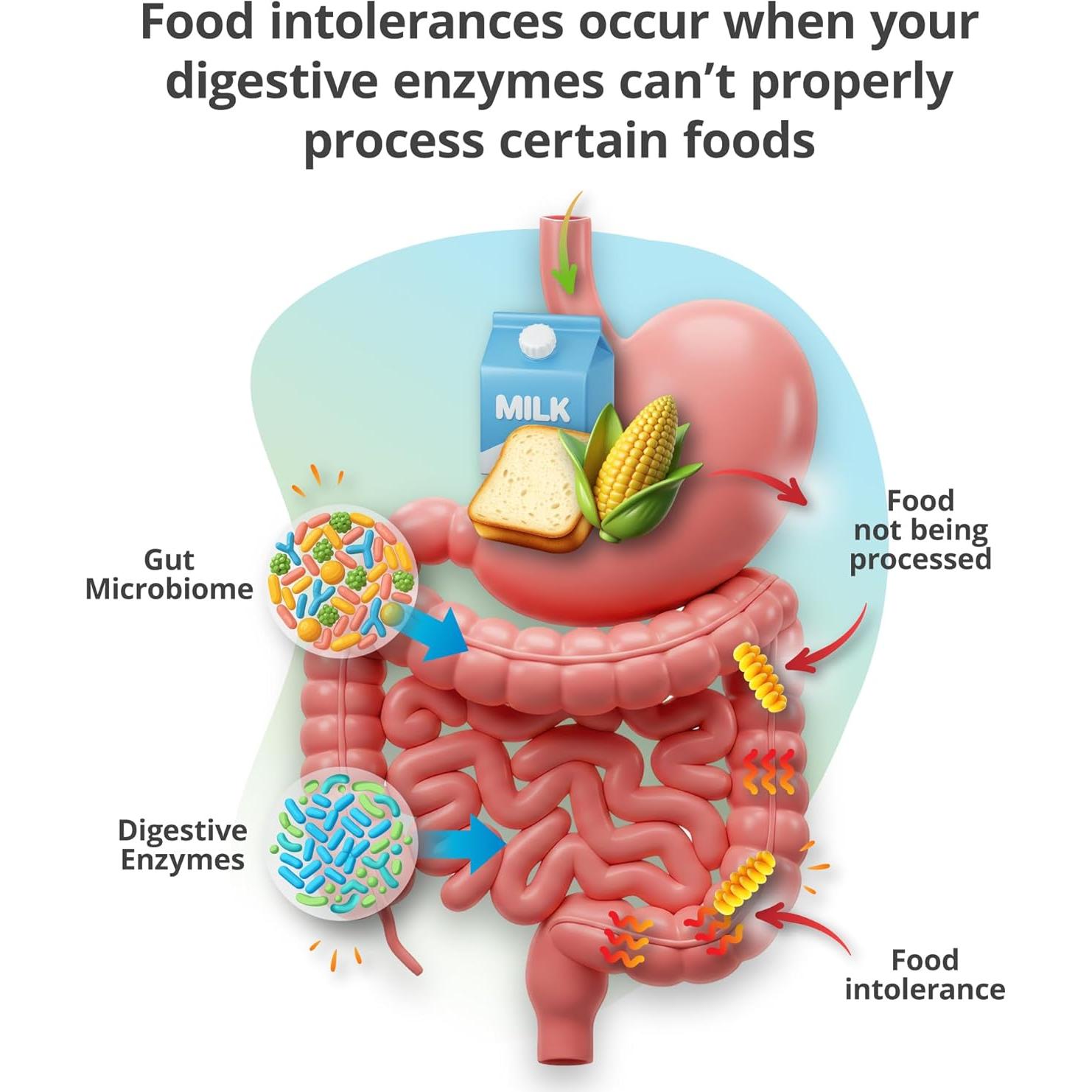 Kit de Prueba de Intolerancia Alimentaria 5Strands - 658 Artículos