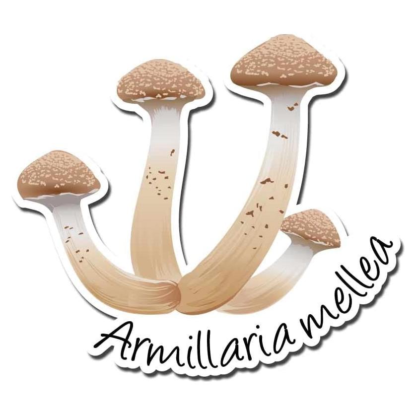 Vinilo Decorativo Hongo de Miel 15 cm Dark Spark para Interior/Exterior