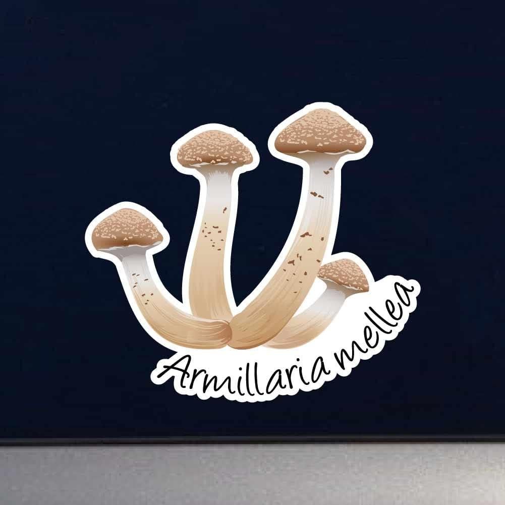 Vinilo Decorativo Hongo de Miel 15 cm Dark Spark para Interior/Exterior